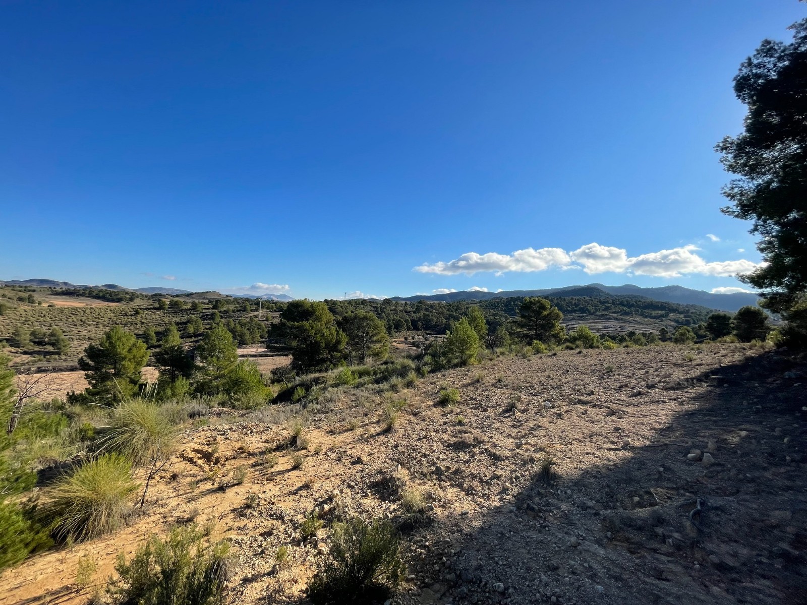 Garden in land for sale in La Zarza