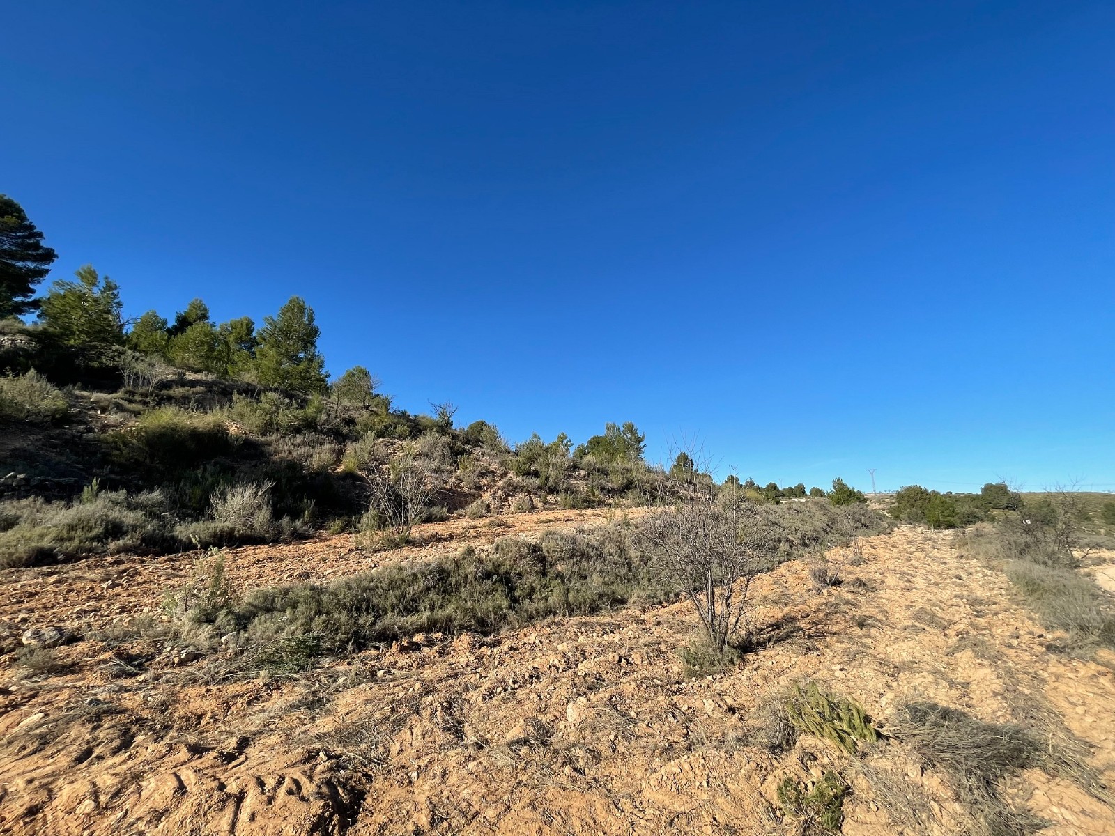 Bedroom in land for sale in La Zarza