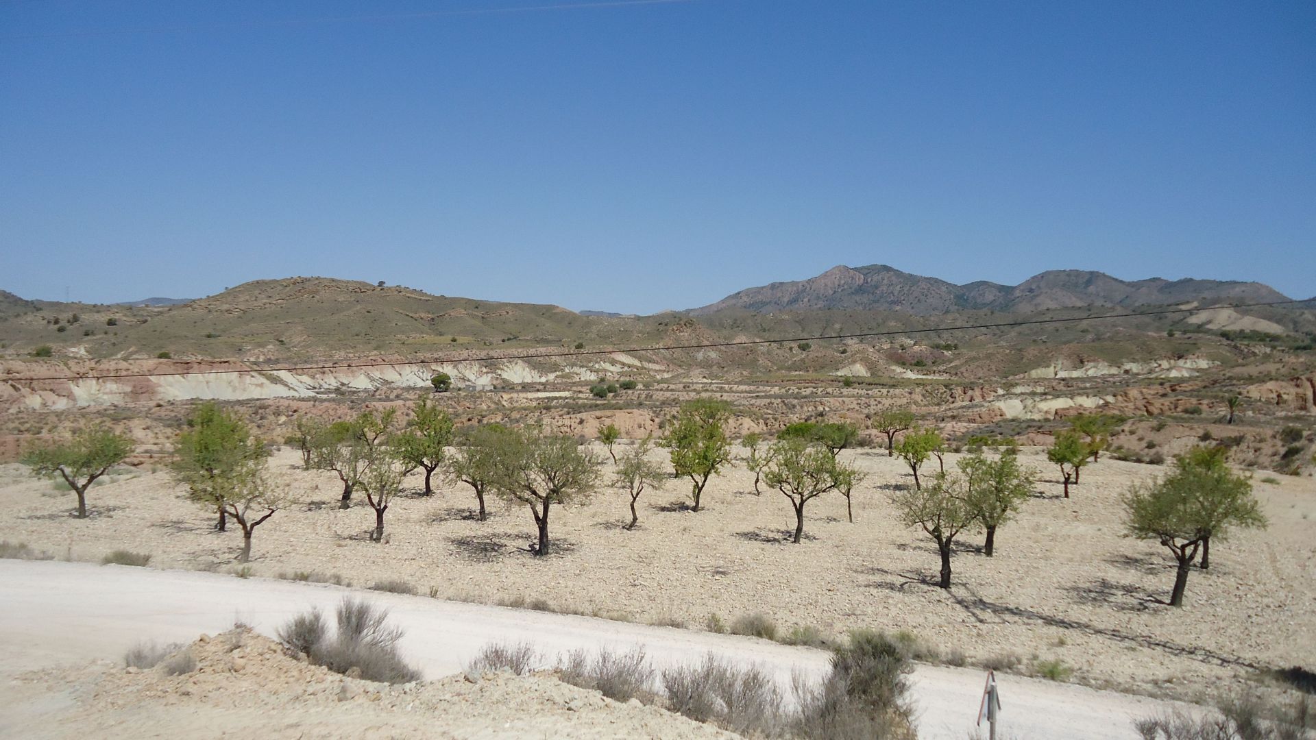 Spacious 8,424 m² buildable plot in El Tollé, Abanilla, with the possibility of water and electricit