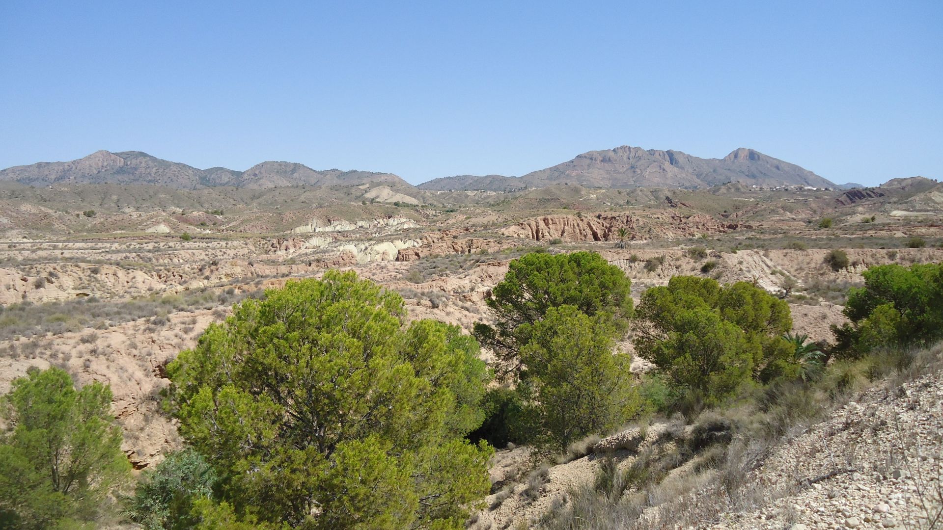 Spacious 8,424 m² buildable plot in El Tollé, Abanilla, with the possibility of water and electricit