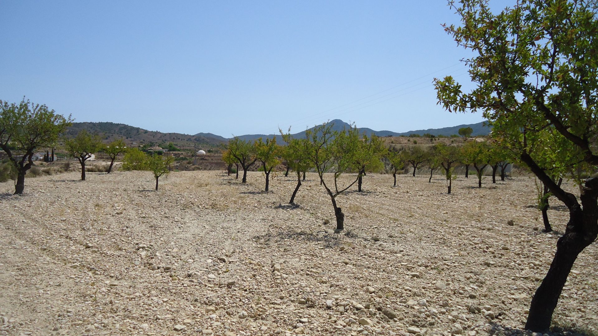 Spacious 8,424 m² buildable plot in El Tollé, Abanilla, with the possibility of water and electricit