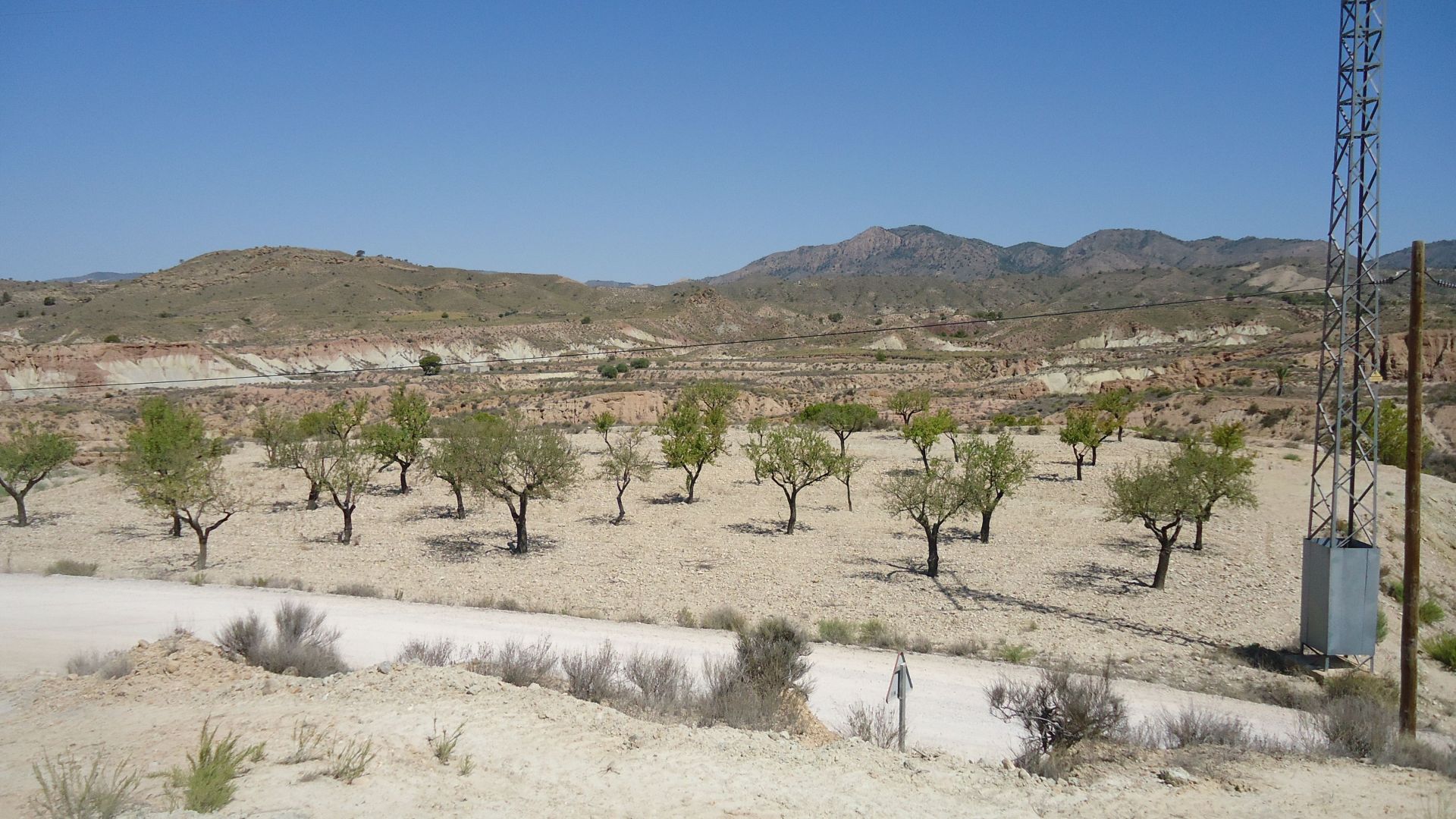 Terrace in land for sale in Abanilla