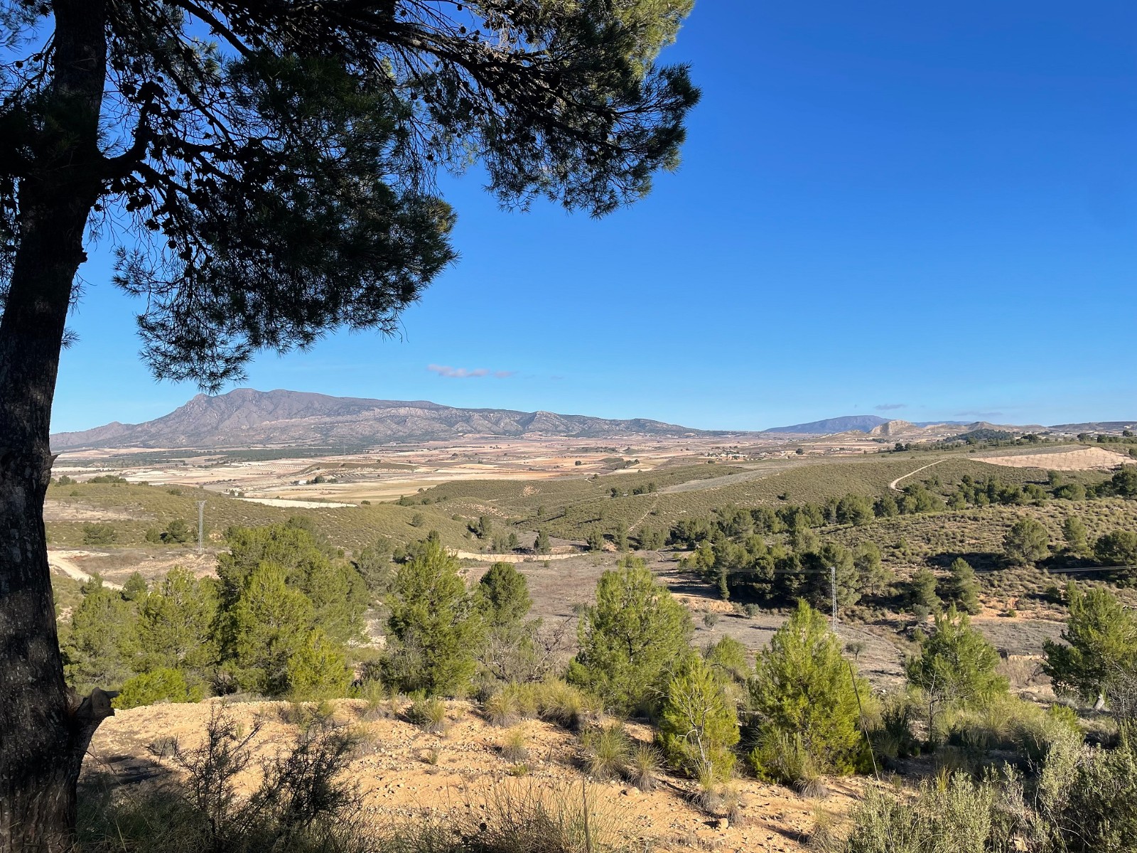 Welcome to this stunning building plot located in La Zarza, which boasts a prime location on the edg