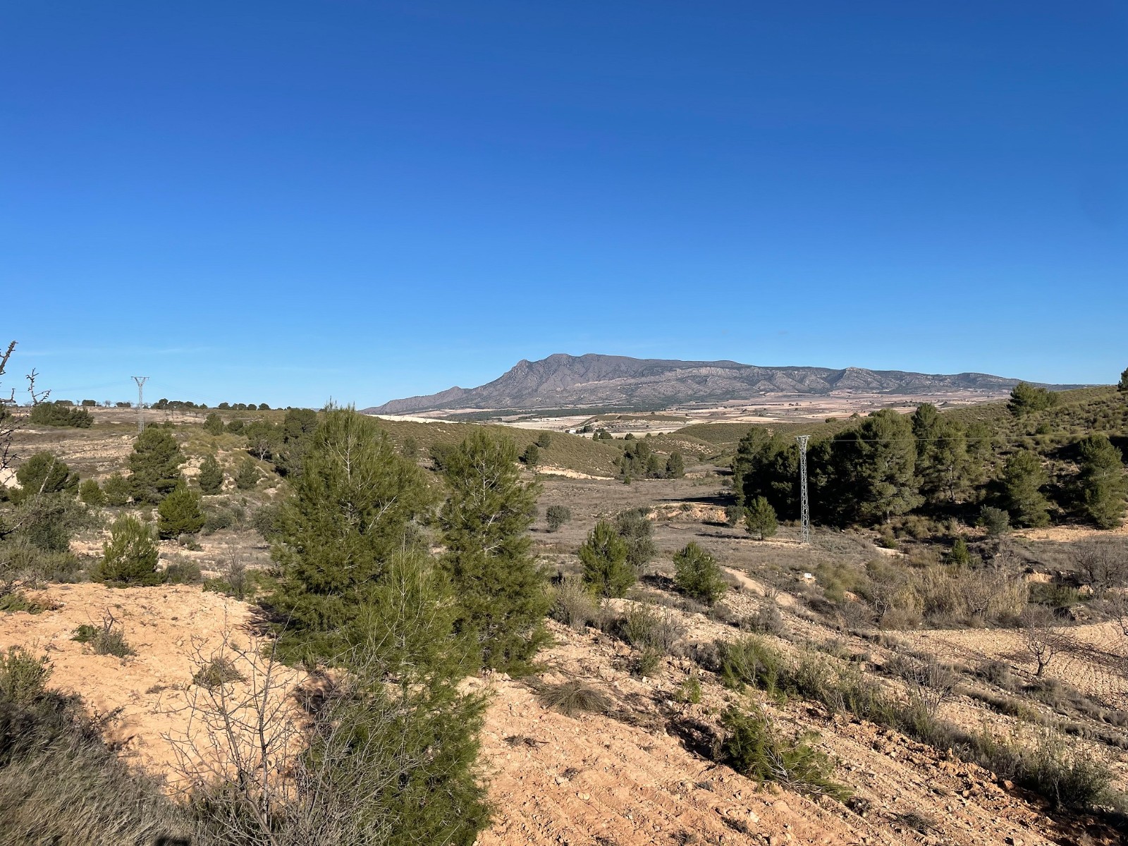 Pool area in land for sale in La Zarza