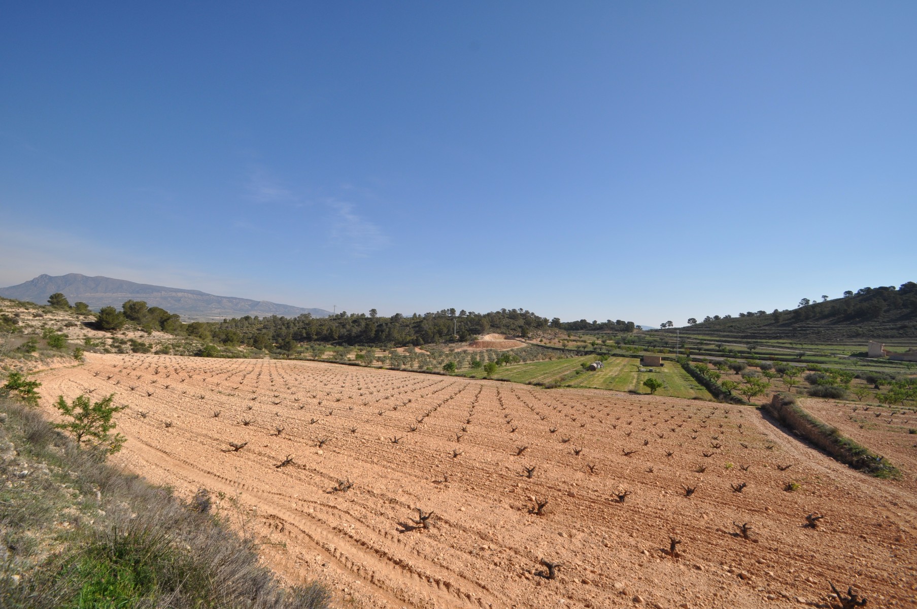 Exterior view in land for sale in La Zarza