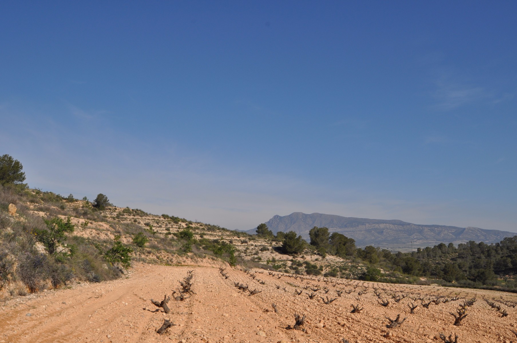 Terrace in land for sale in La Zarza