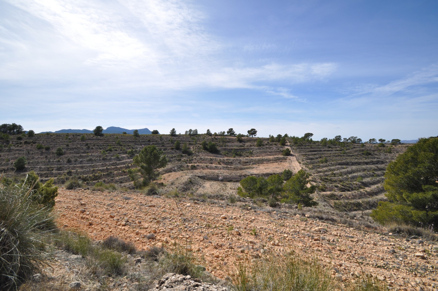 Pool area in land for sale in La Zarza