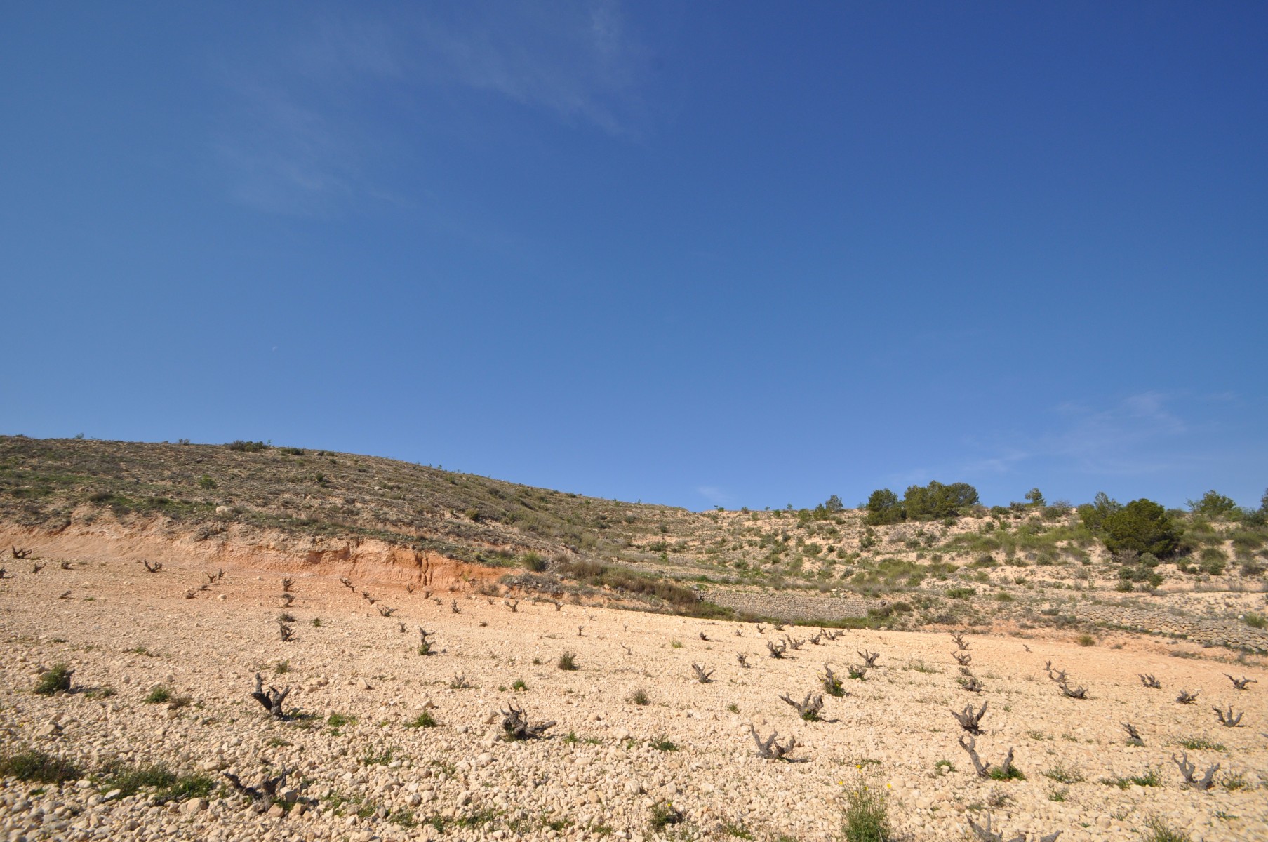 Bedroom in land for sale in La Zarza
