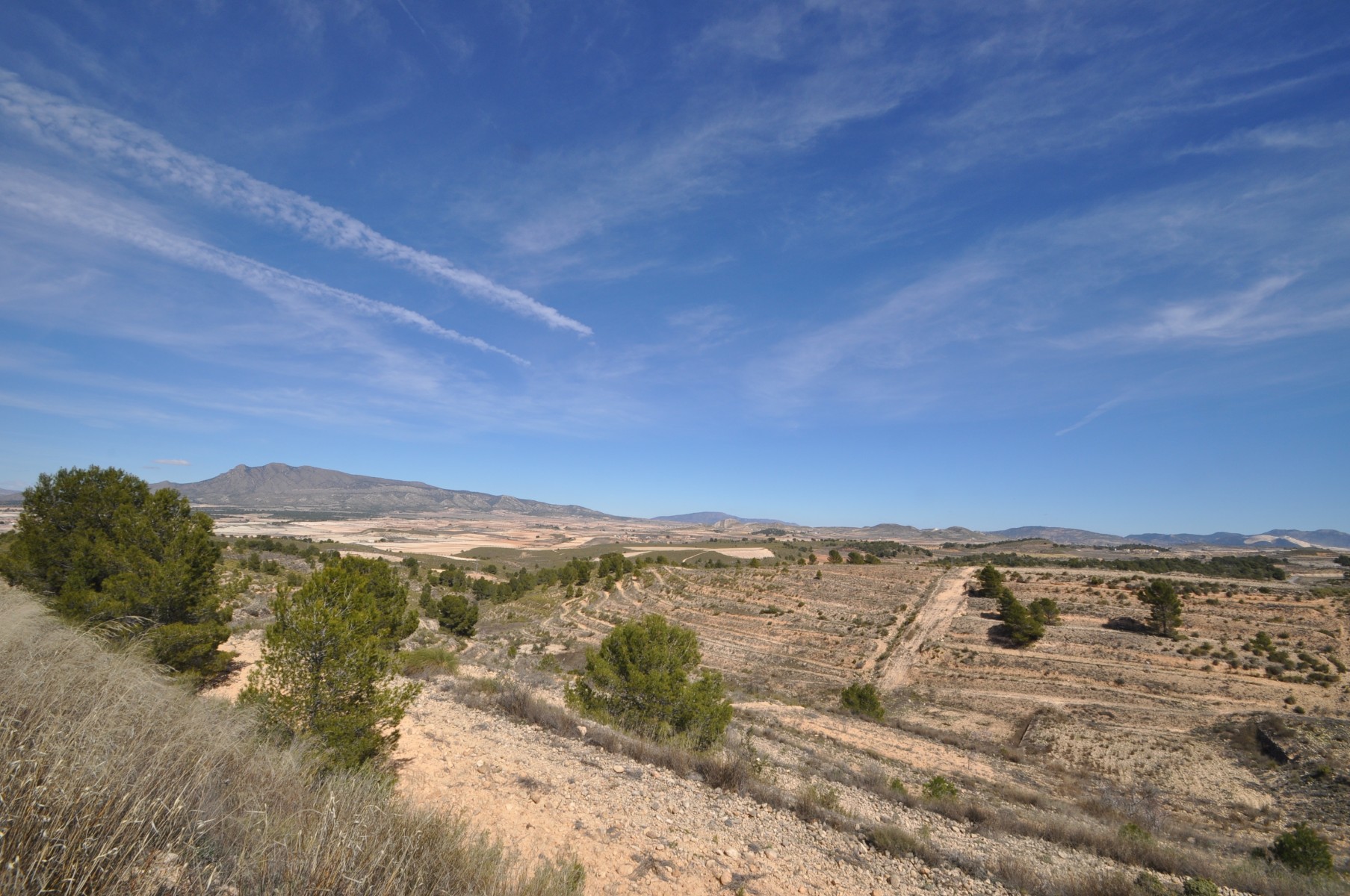 Exterior view in land for sale in La Zarza