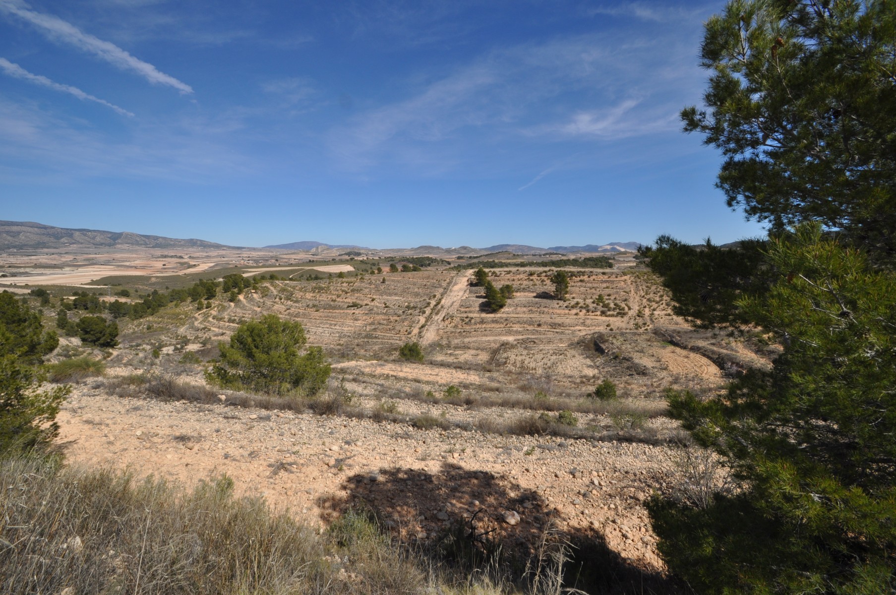 Living room in land for sale in La Zarza