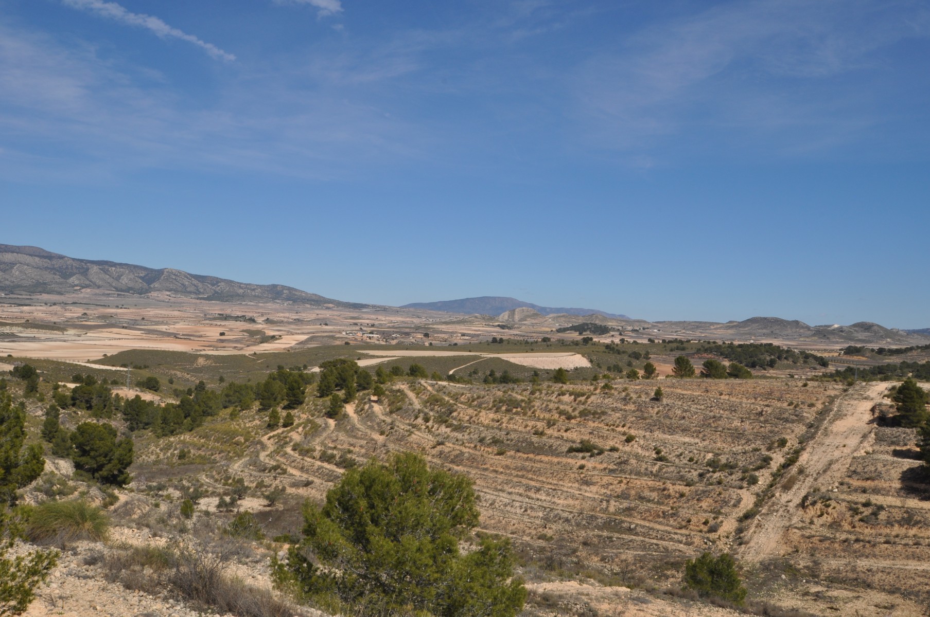 Master bedroom in land for sale in La Zarza