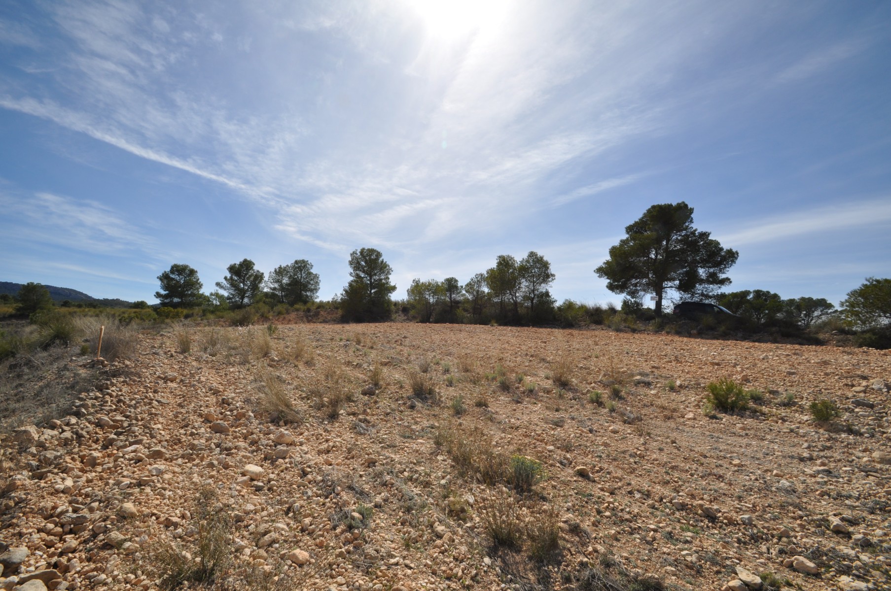 Bathroom in land for sale in La Zarza