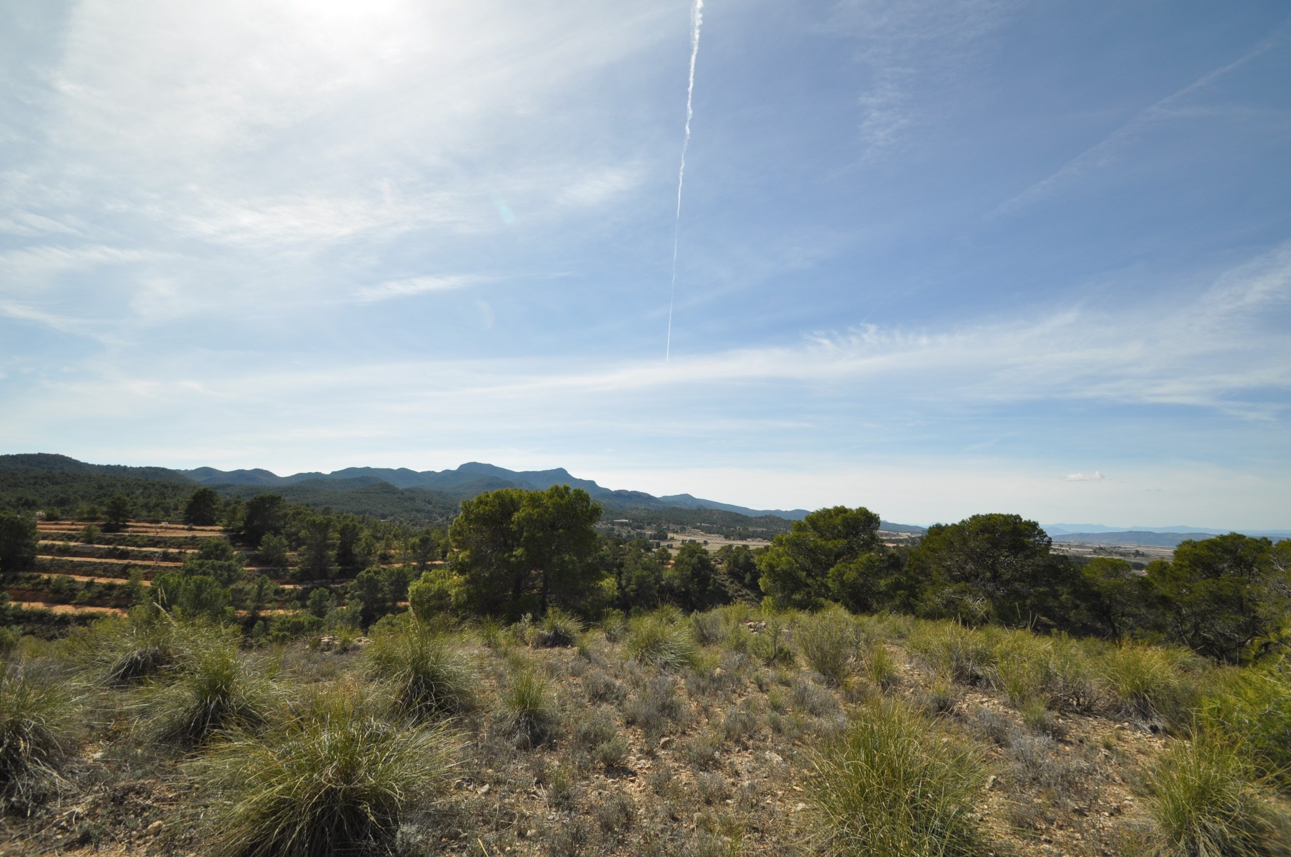 Garden in land for sale in La Zarza