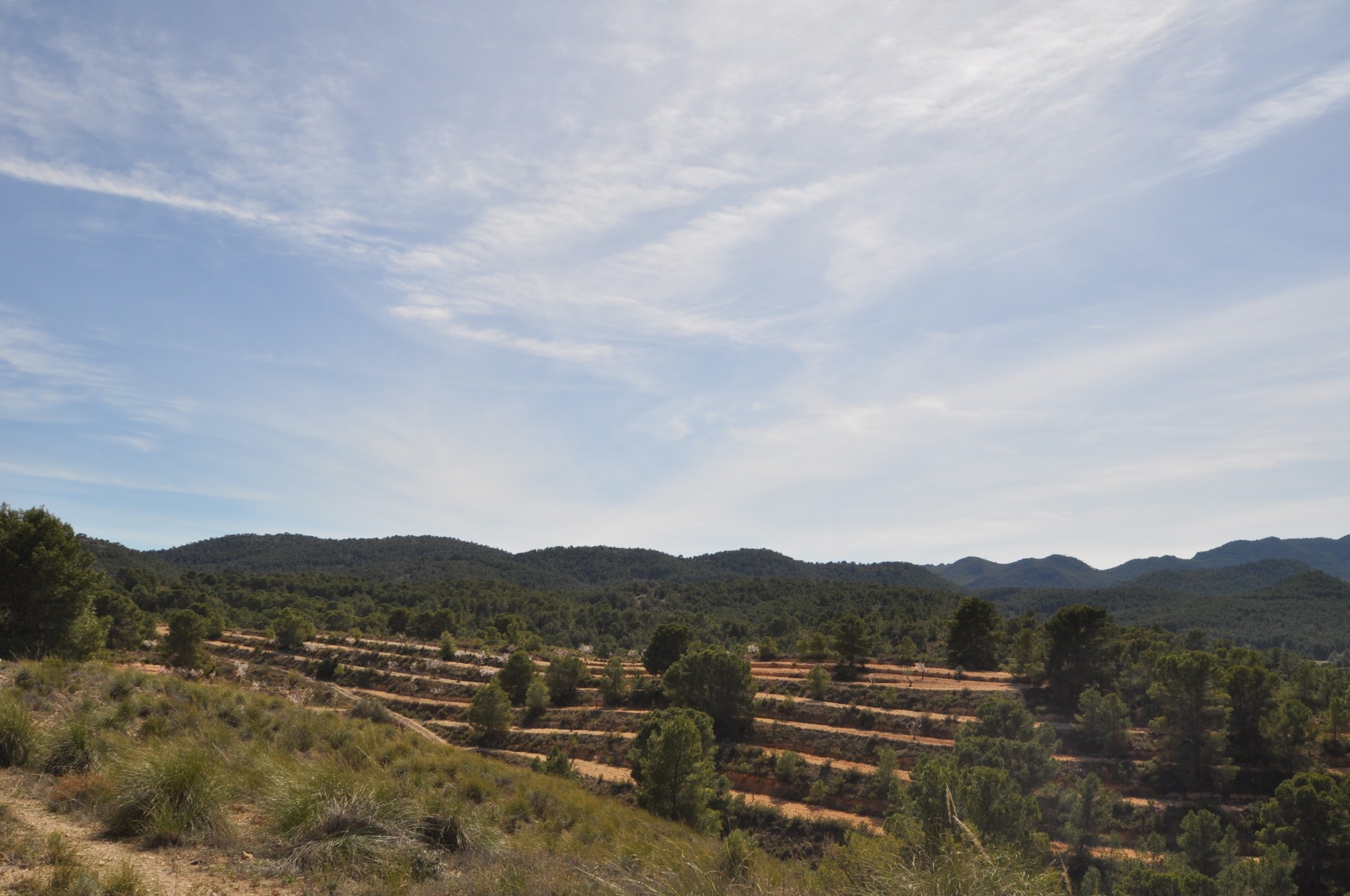 Dining area in land for sale in La Zarza