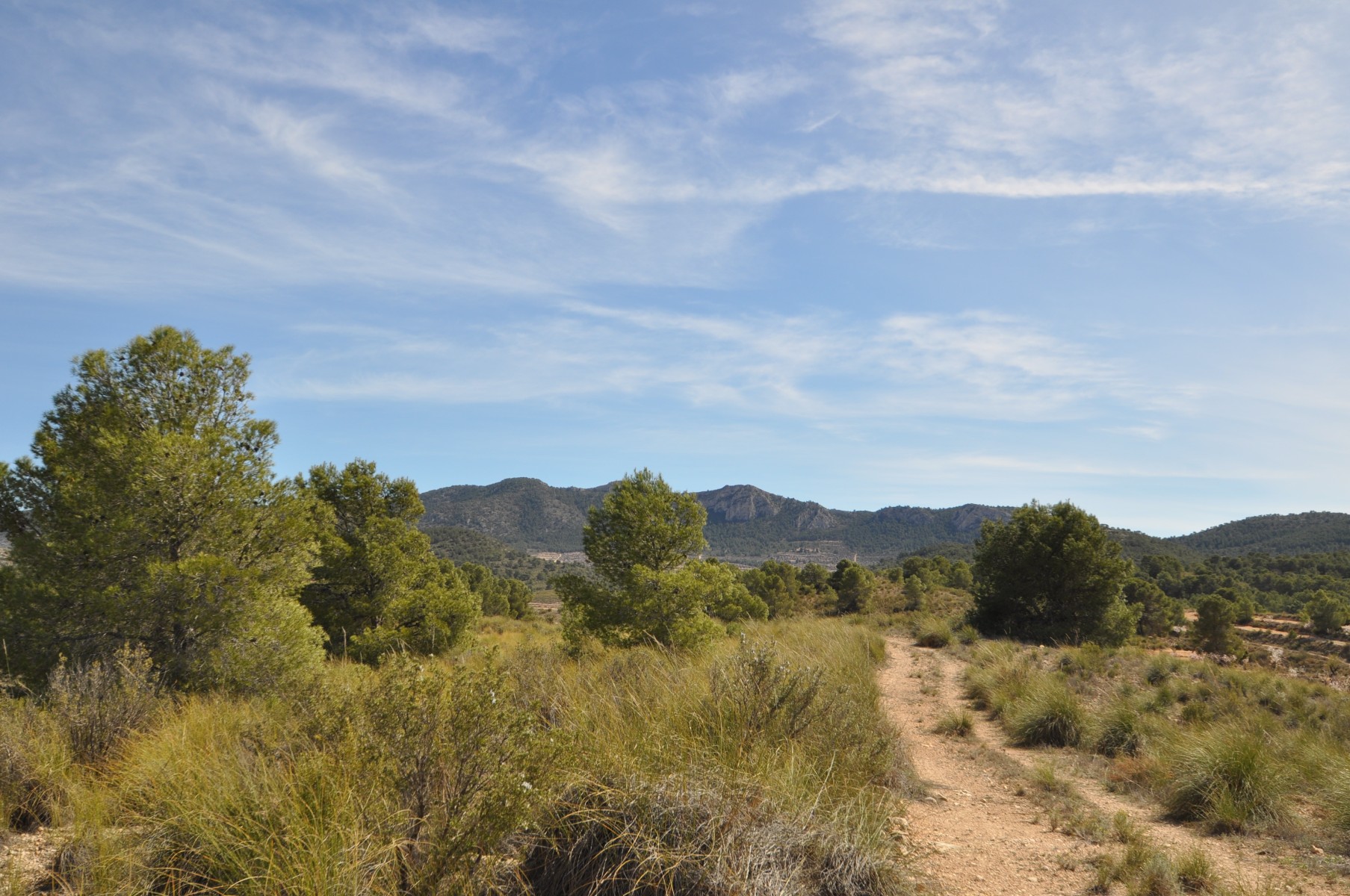 Bedroom in land for sale in La Zarza