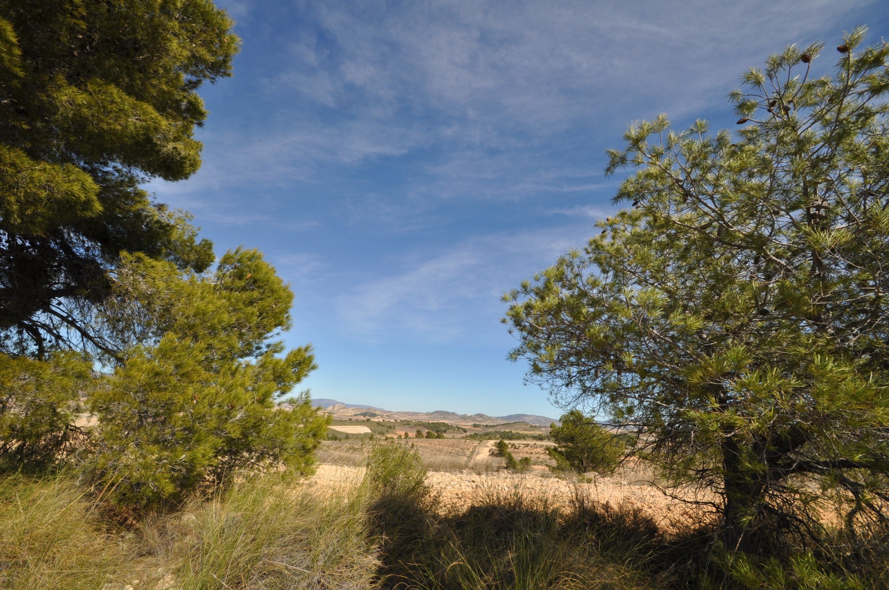 Bedroom in land for sale in La Zarza