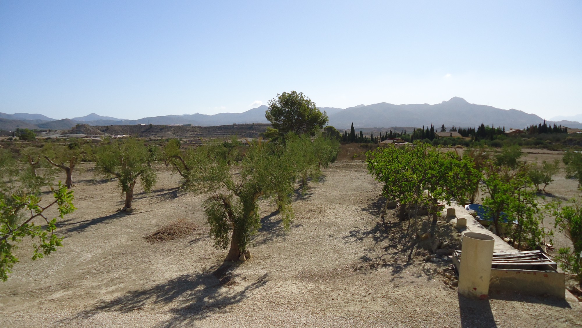 Kitchen in land for sale in Abanilla