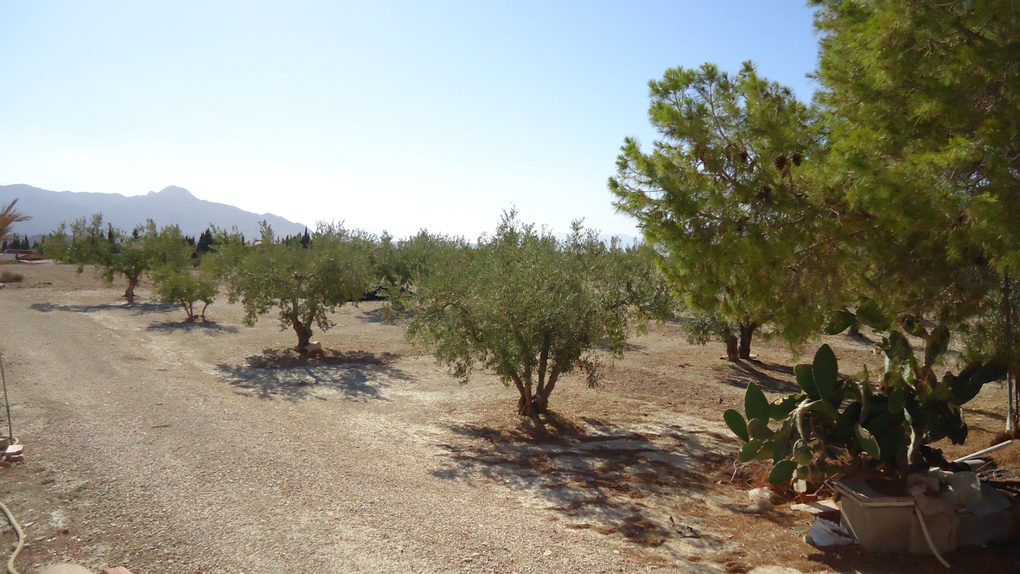 Bathroom in land for sale in Abanilla