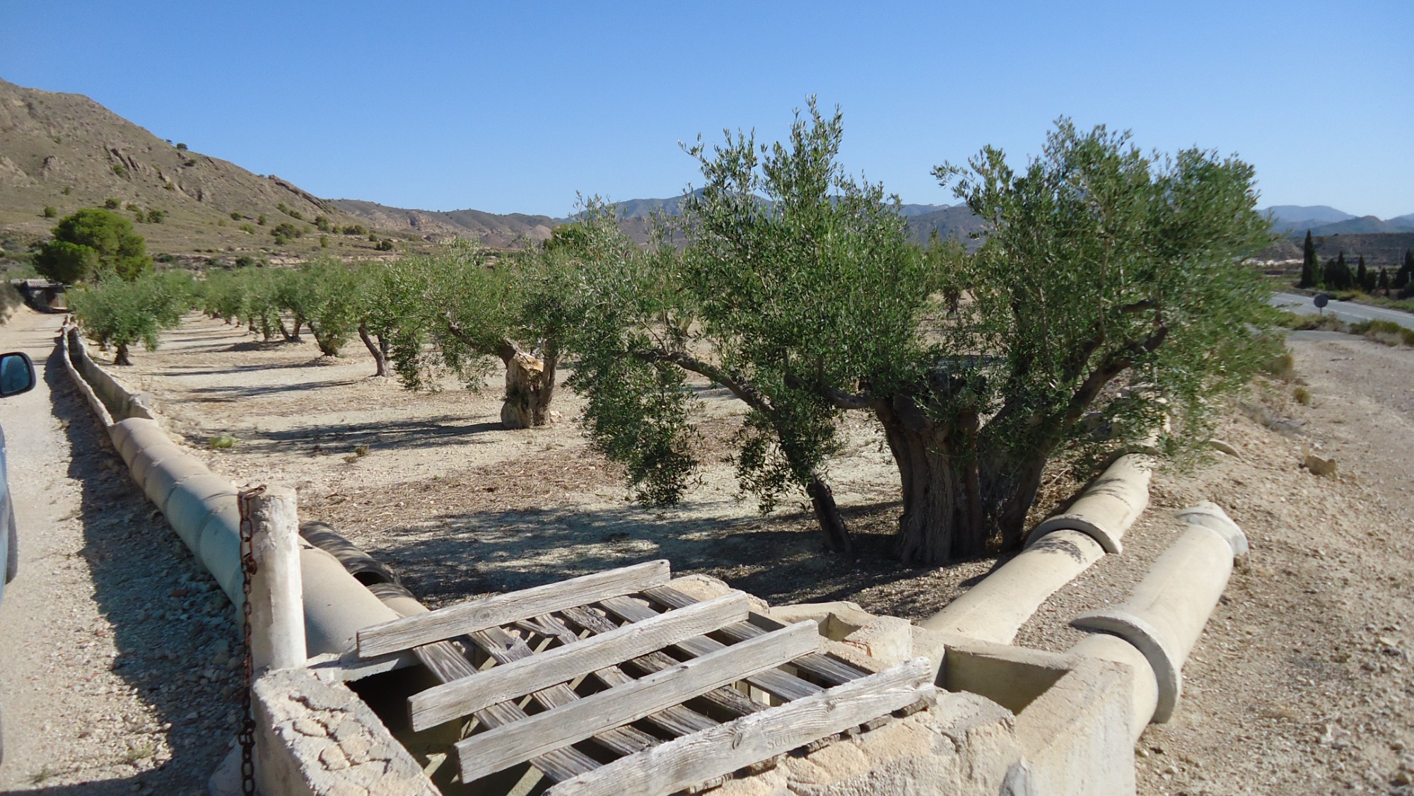 Terrace in land for sale in Abanilla