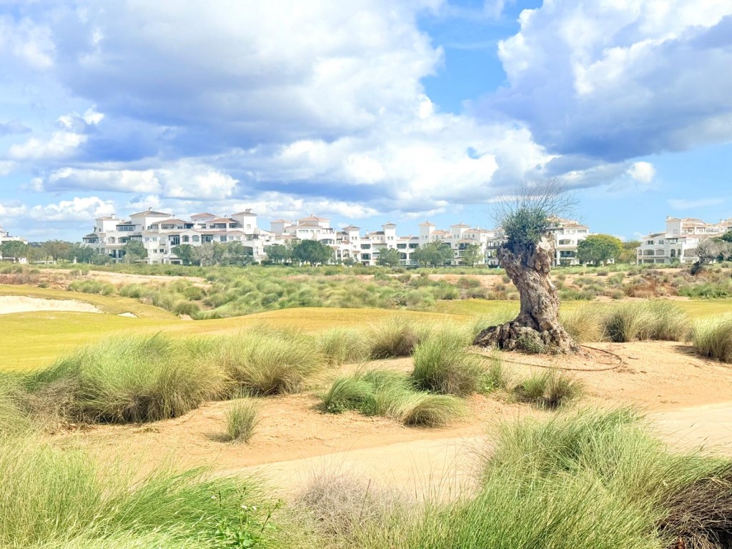 Dining area in duplex for sale in Hacienda Riquelme Golf Resort
