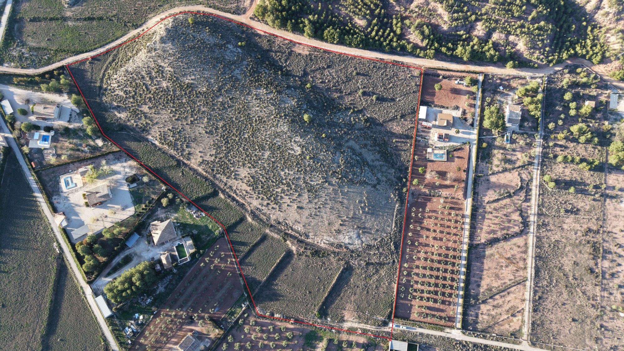 Garden in land for sale in Yecla