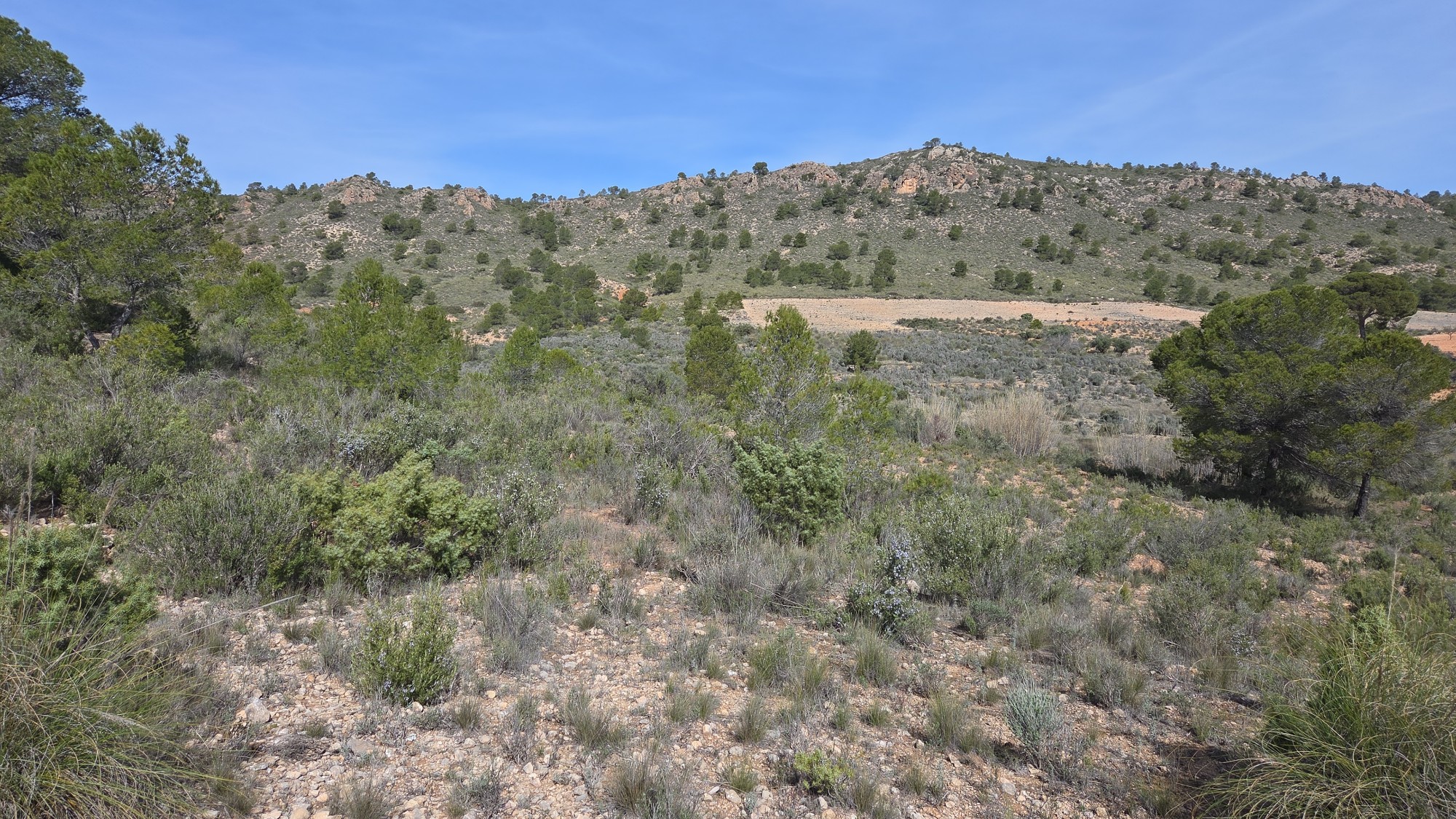 Building plot of over 27,000 m² in the mountains in Yecla