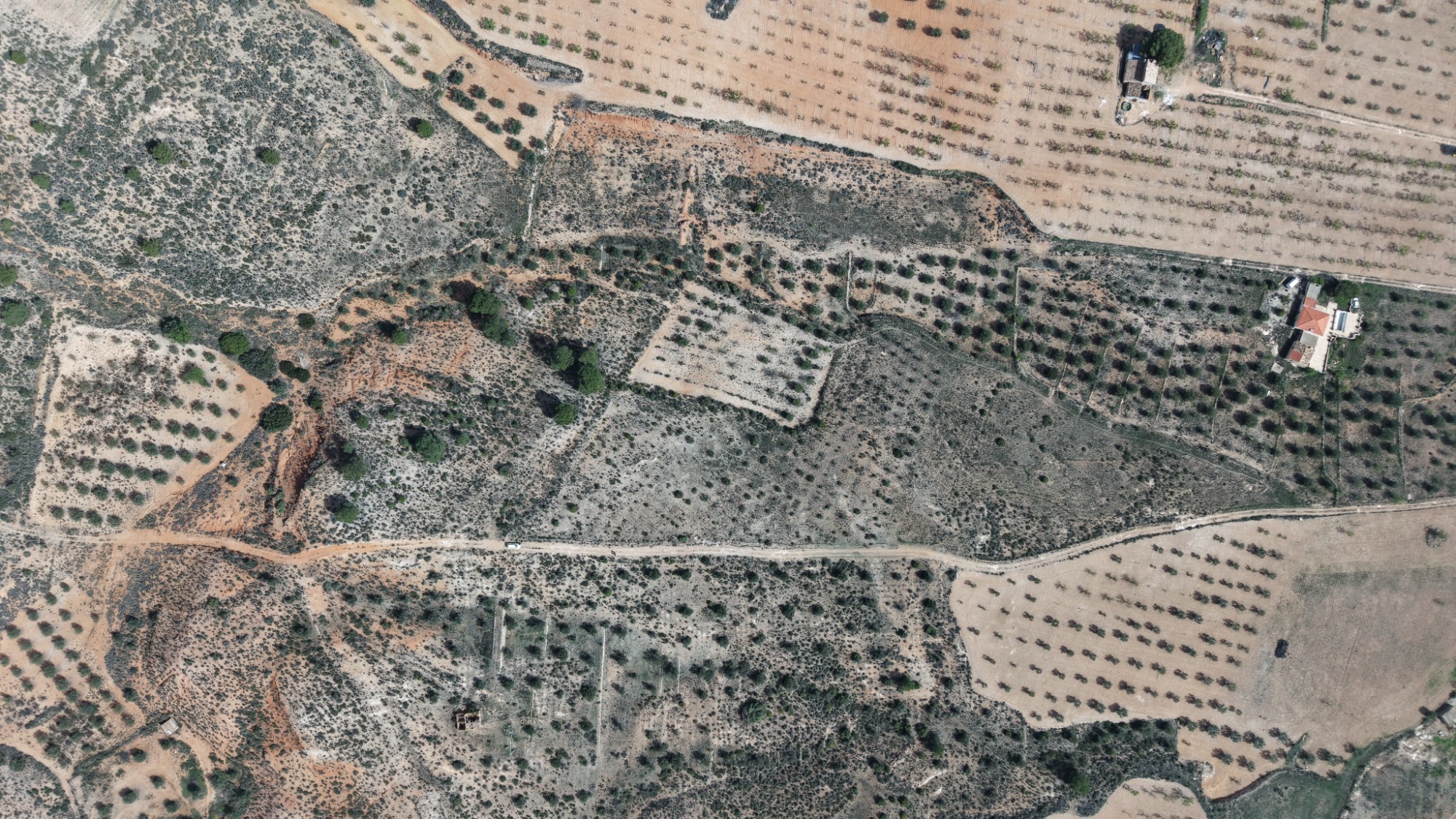 Exterior view in land for sale in Yecla