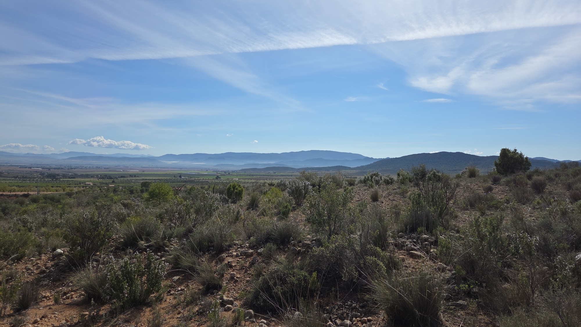 Building plot of over 27,000 m² in the mountains in Yecla