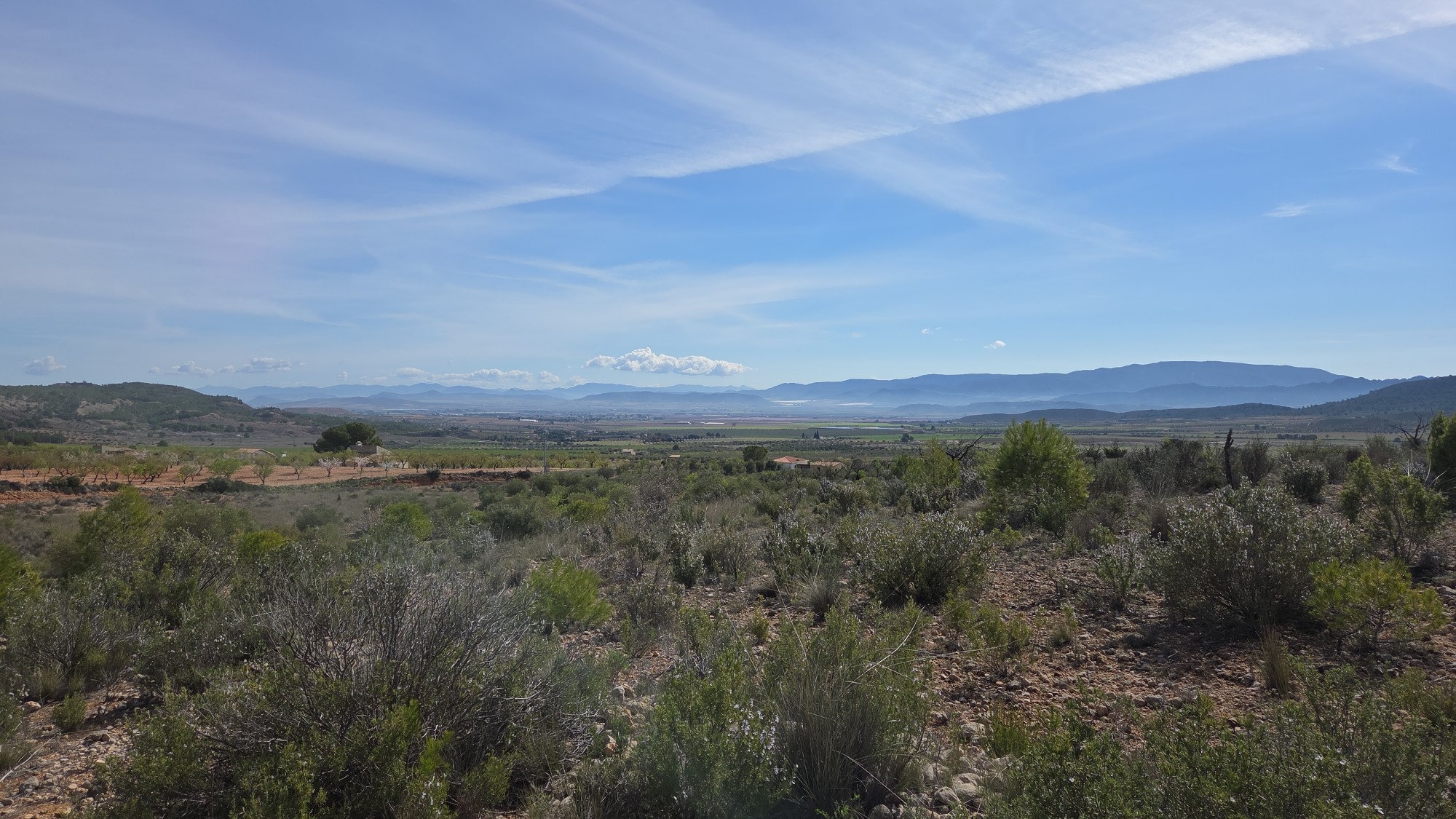 Building plot of over 27,000 m² in the mountains in Yecla