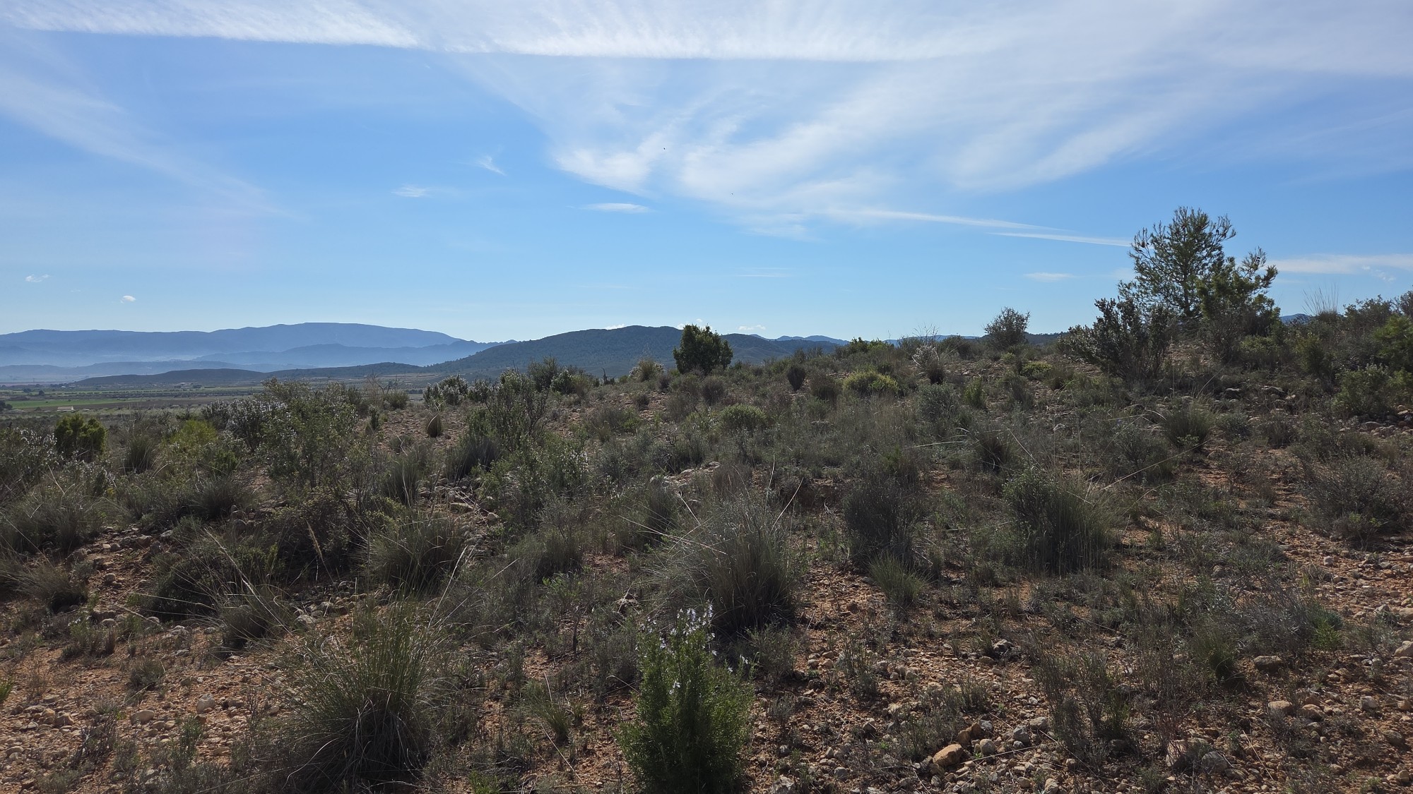 Building plot of over 27,000 m² in the mountains in Yecla