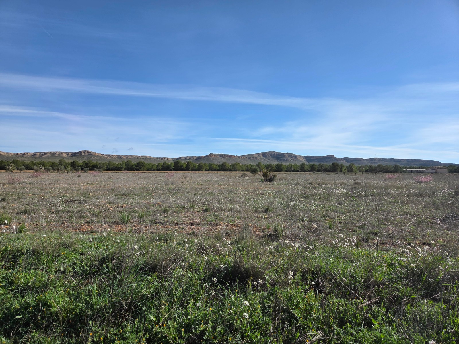 Building plot of 29