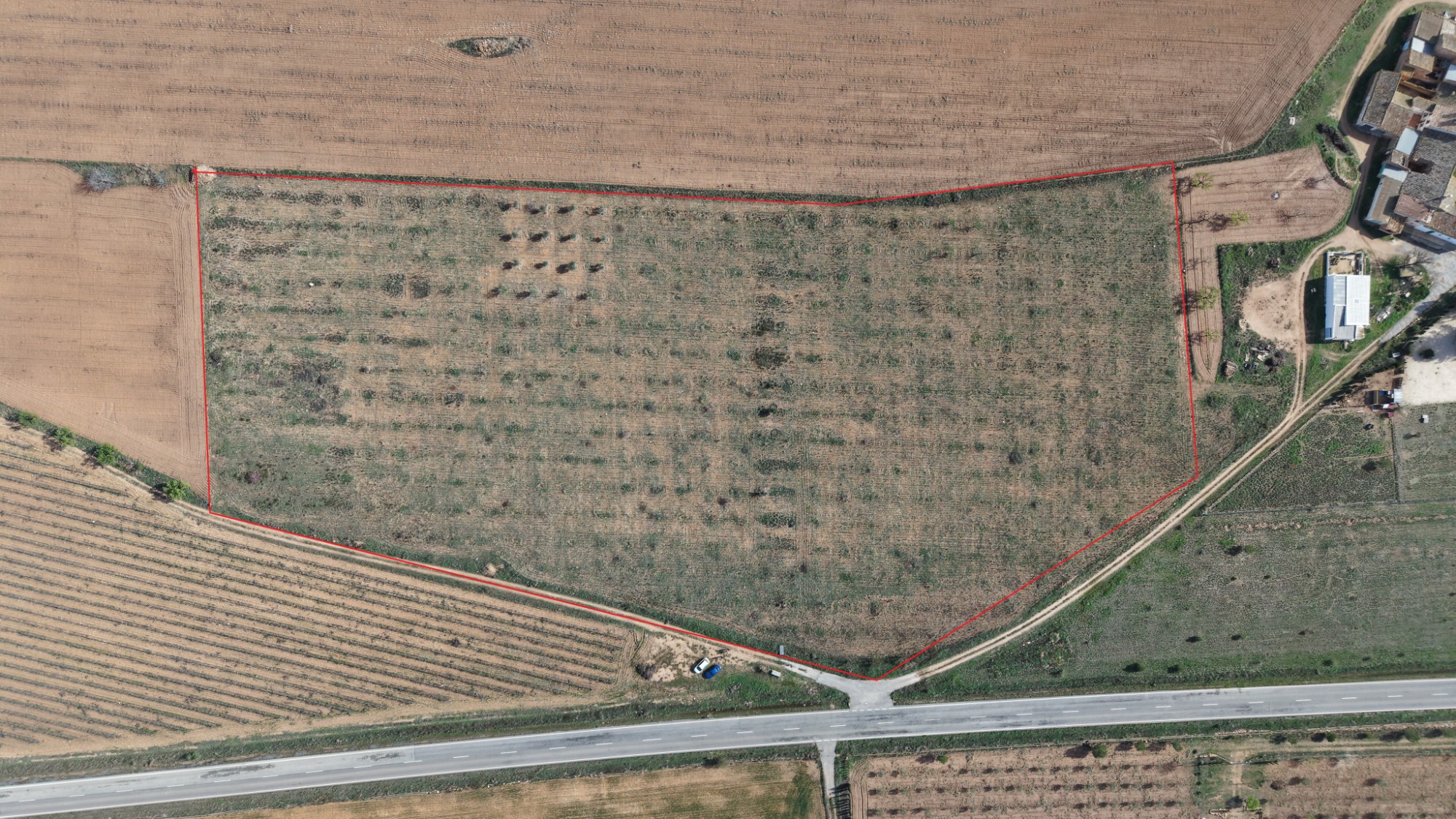 Terrace in land for sale in Yecla