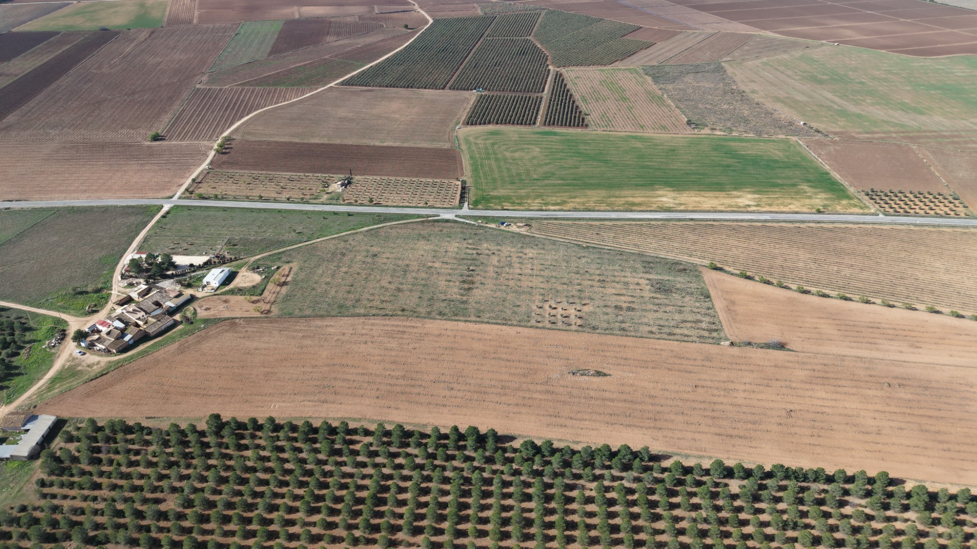 Garden in land for sale in Yecla