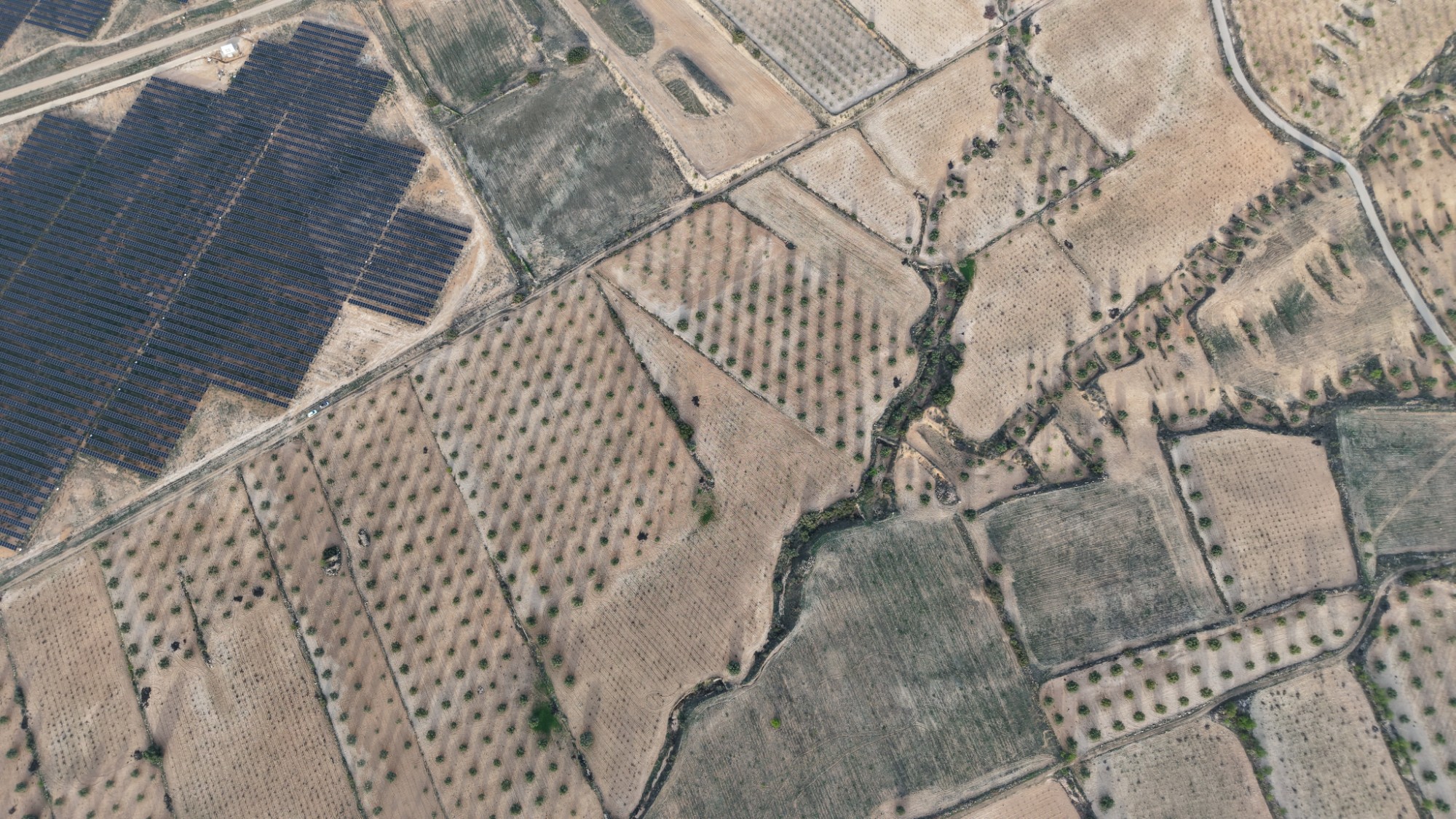 Exterior view in land for sale in Jumilla