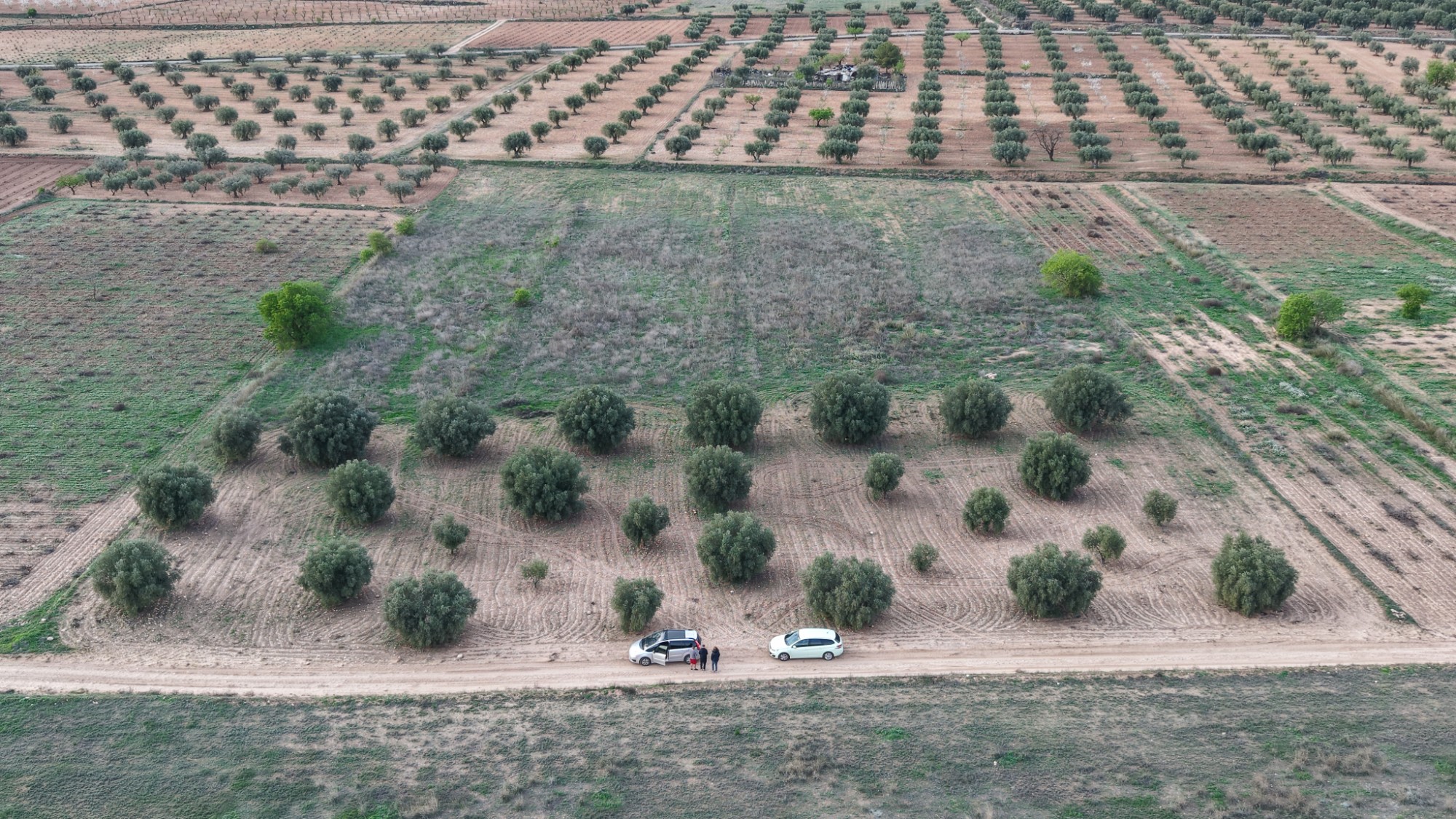 Garden in land for sale in Jumilla