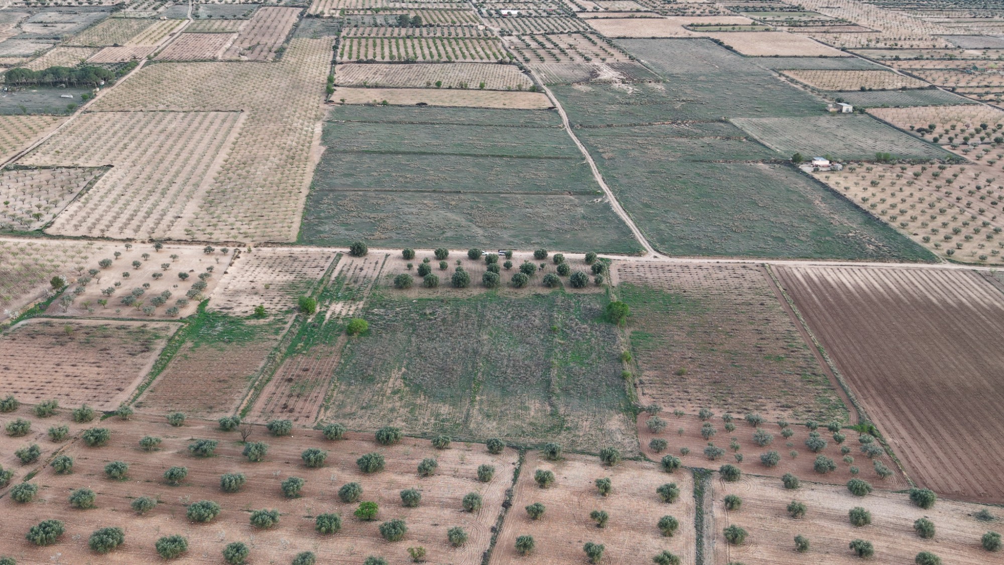 Bedroom in land for sale in Jumilla