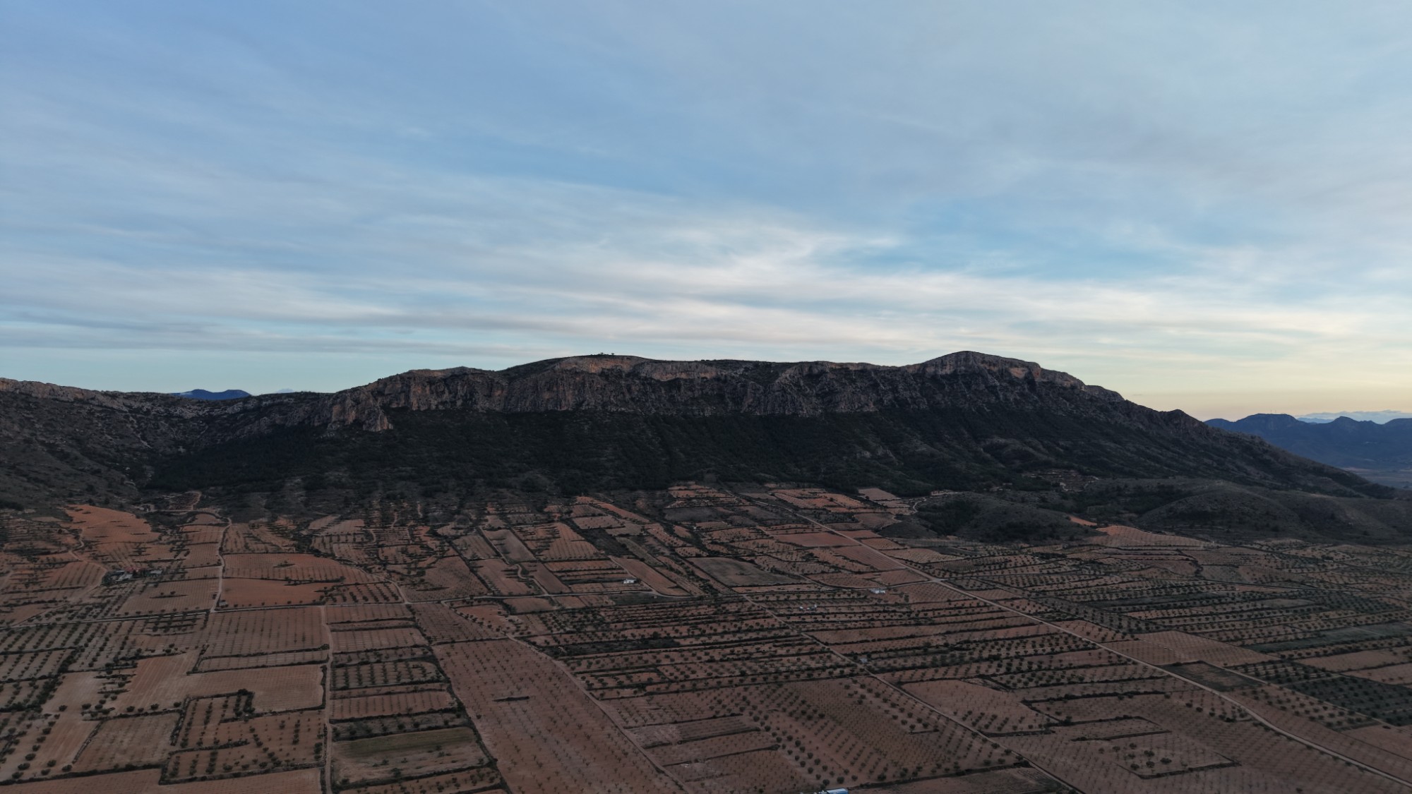 Exterior view in land for sale in Jumilla
