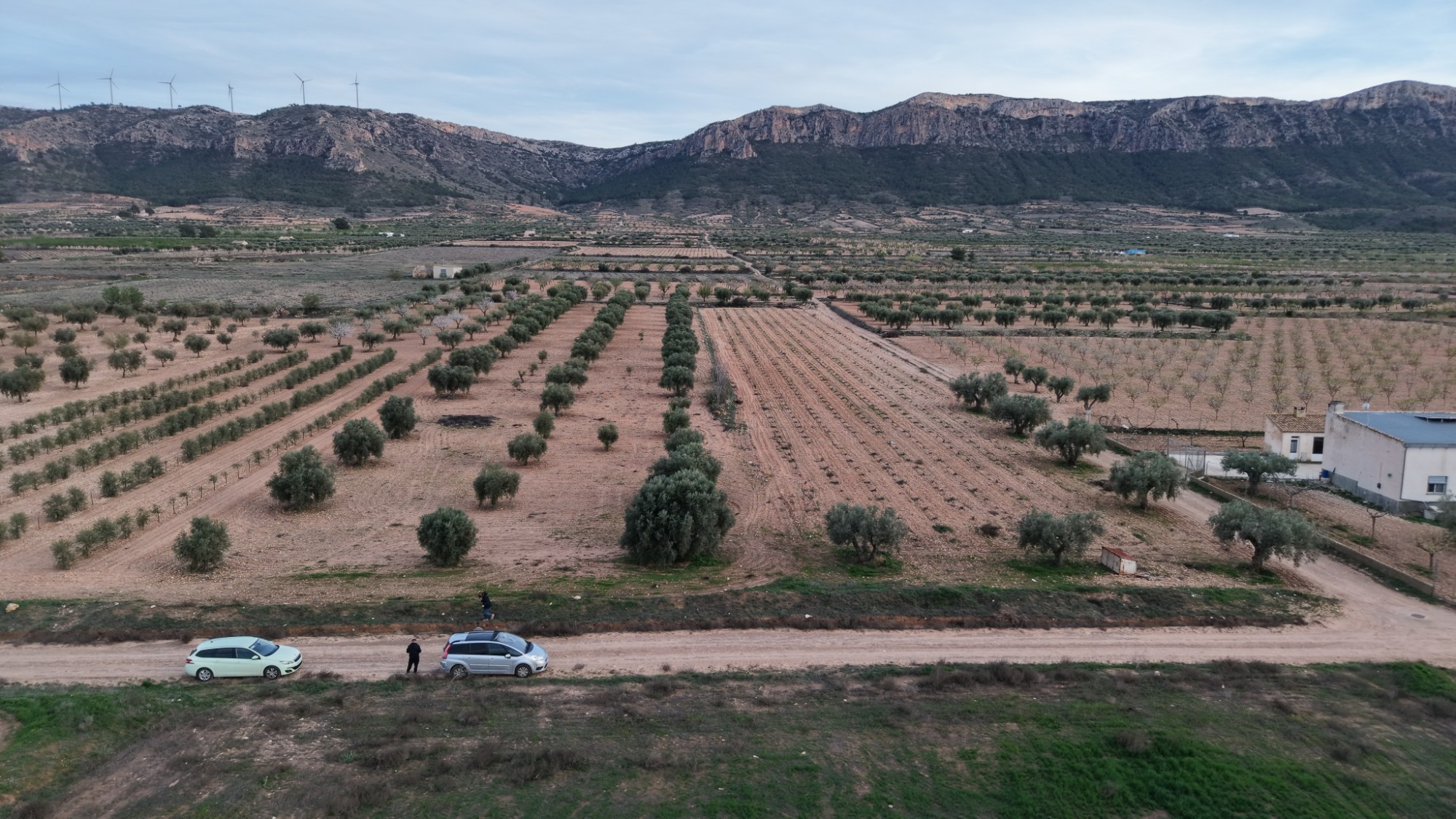 Dining area in land for sale in Jumilla