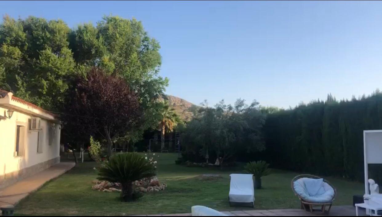 Pool area in villa for sale in Elda