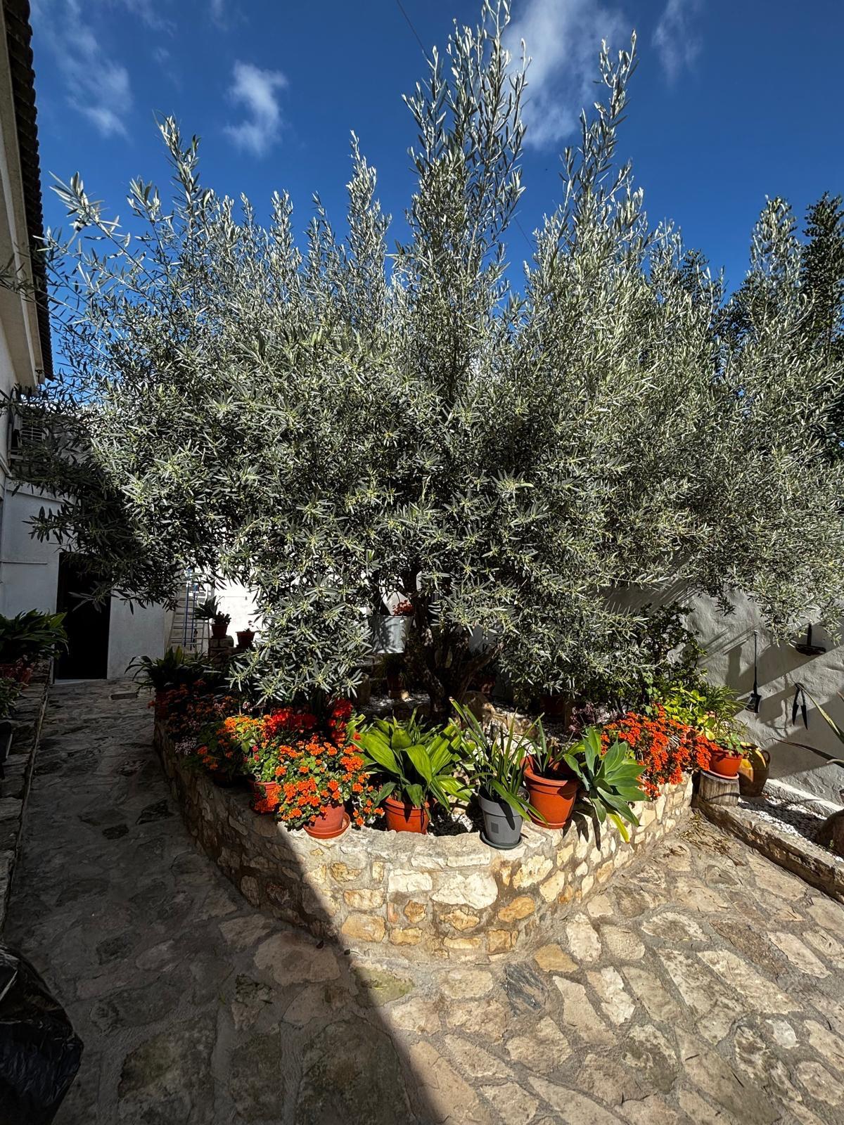 Dining area in terraced for sale in Benejuzar