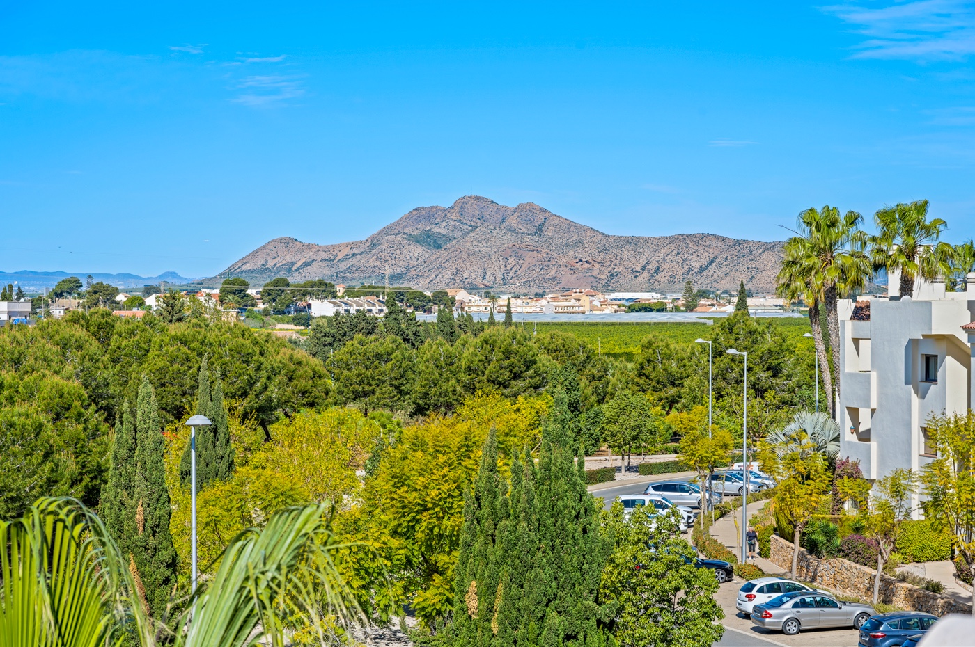 Garden in apartment for sale in San Javier