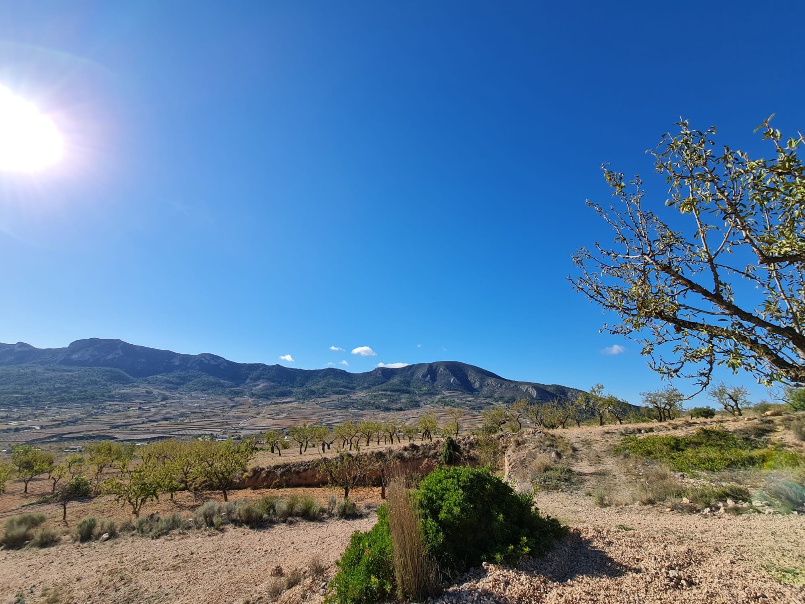 Terrace in land for sale in La Romana