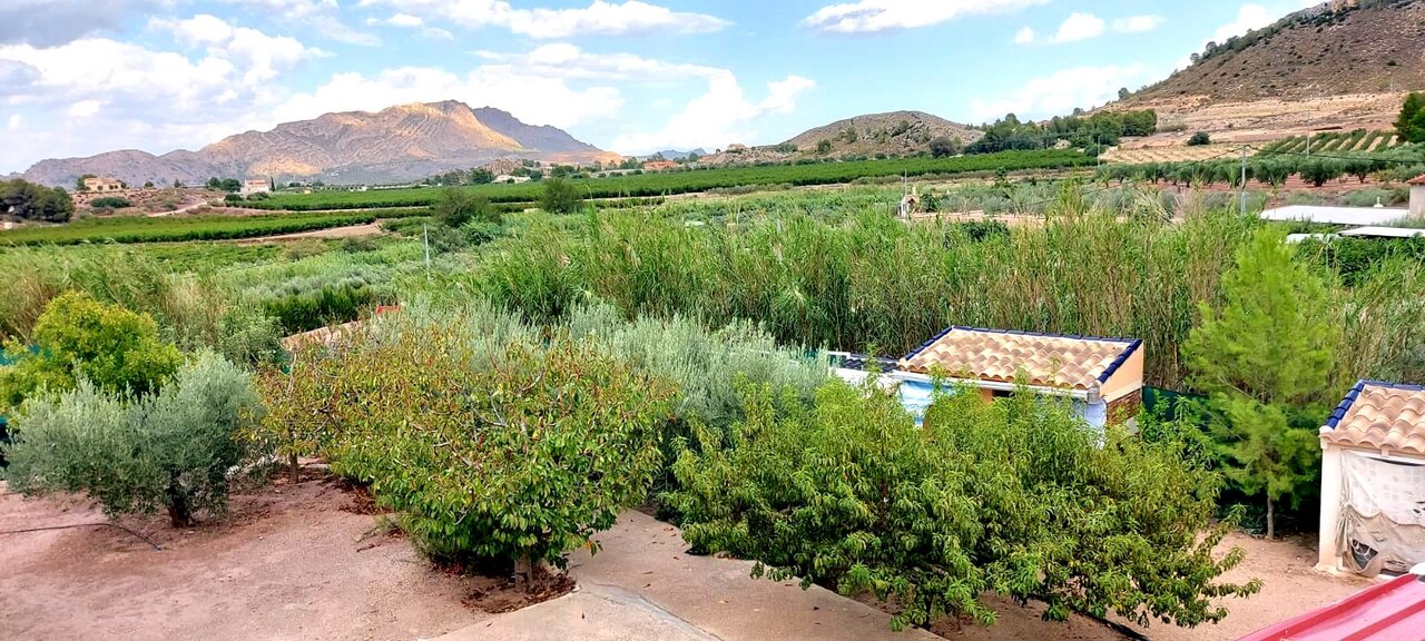 Large Detached Country Property with Under Build and Separate Casita, Garage with Several Covered Pa