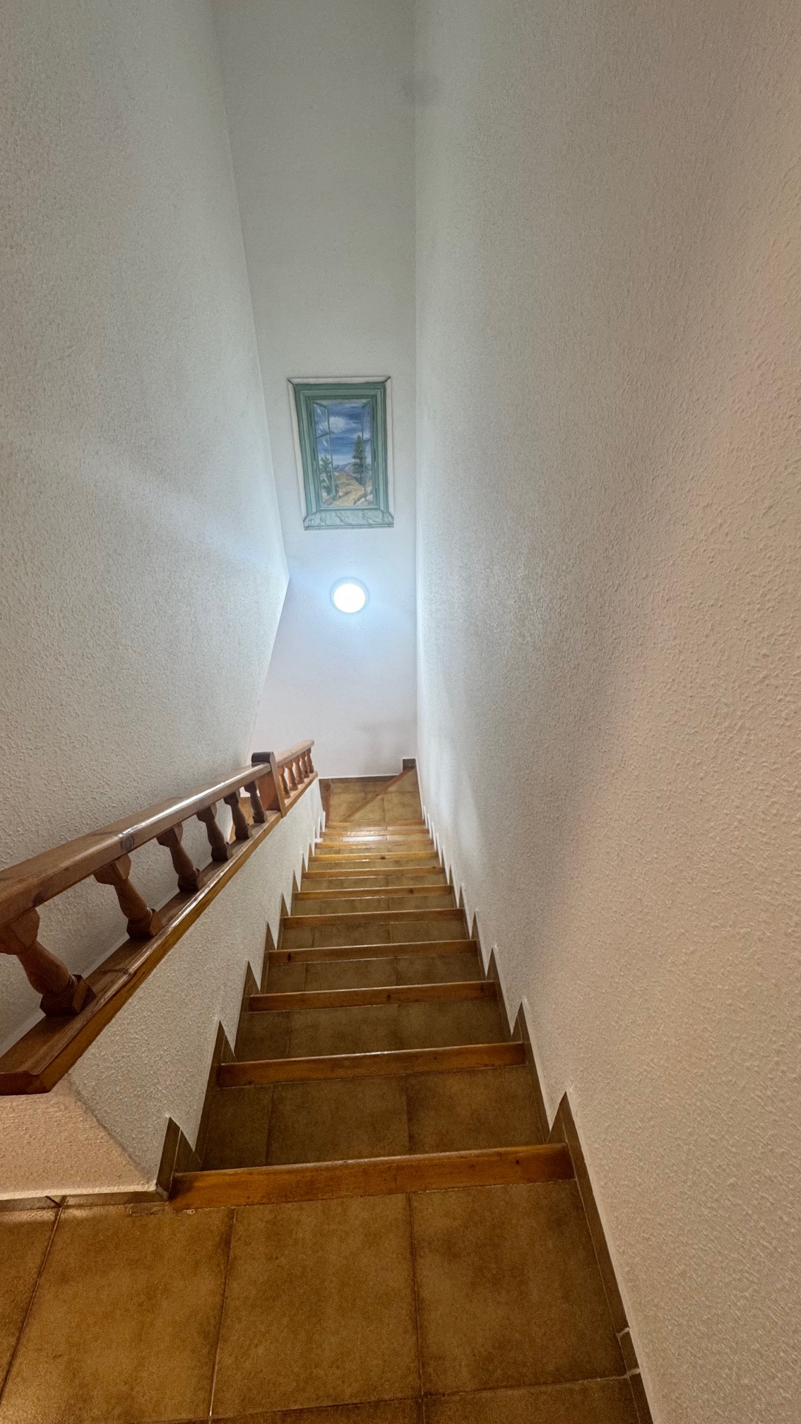 Garden in terraced for sale in Orihuela Costa