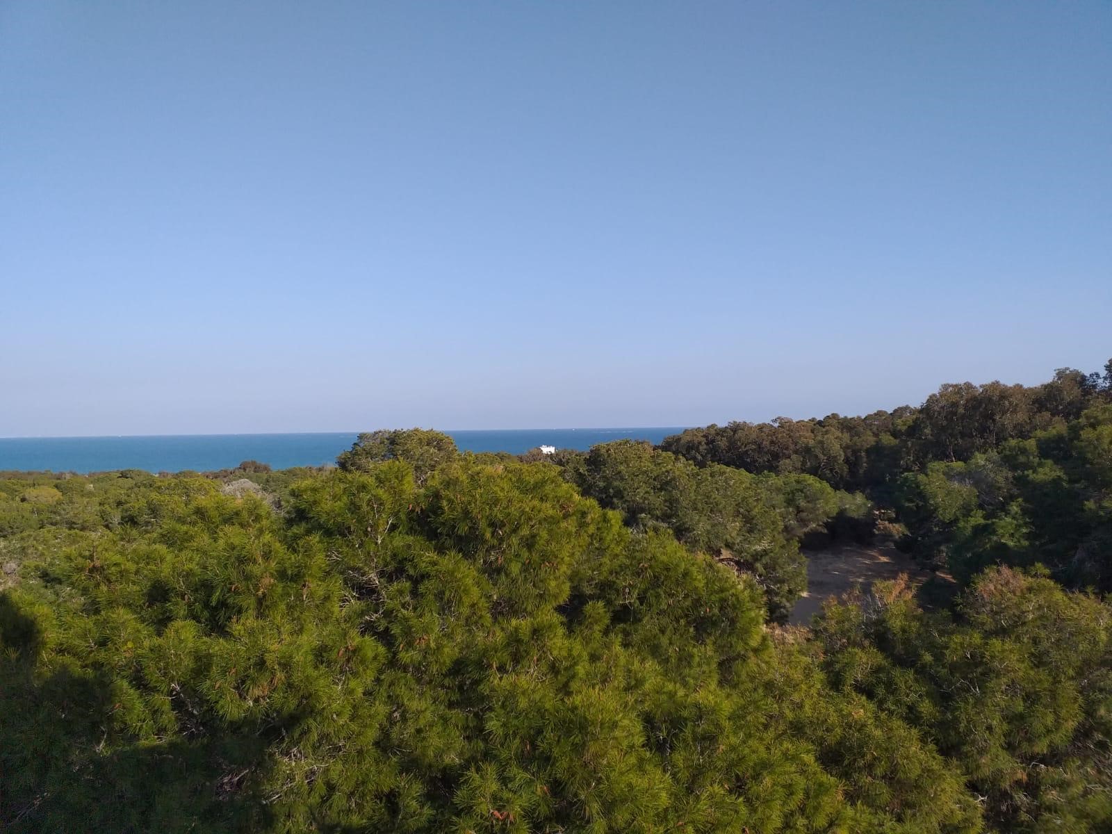 Exterior view in apartment for sale in Guardamar del Segura