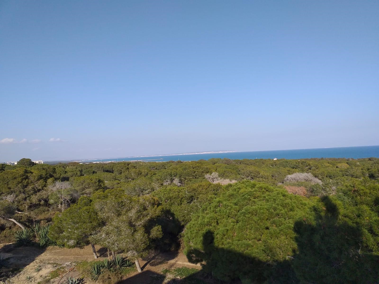 Bedroom in apartment for sale in Guardamar del Segura