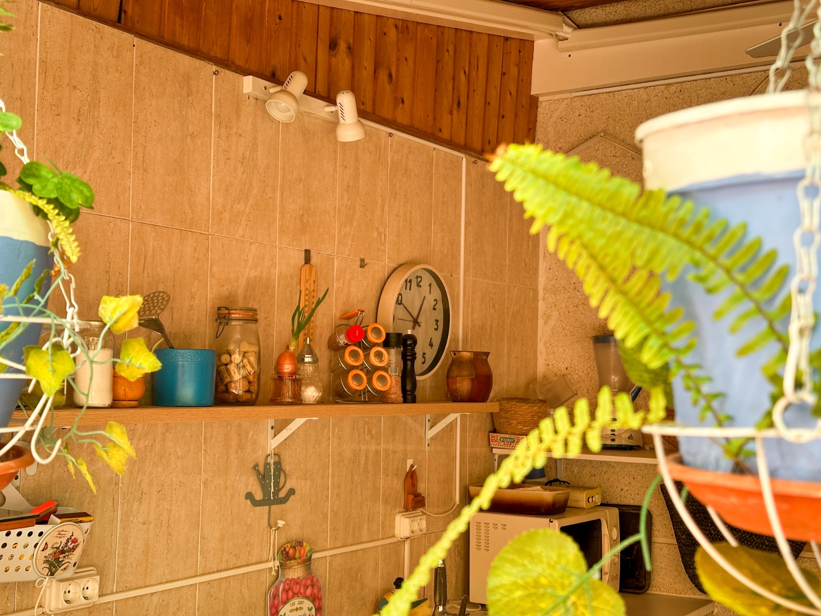 Exterior view in apartment for sale in Torrevieja