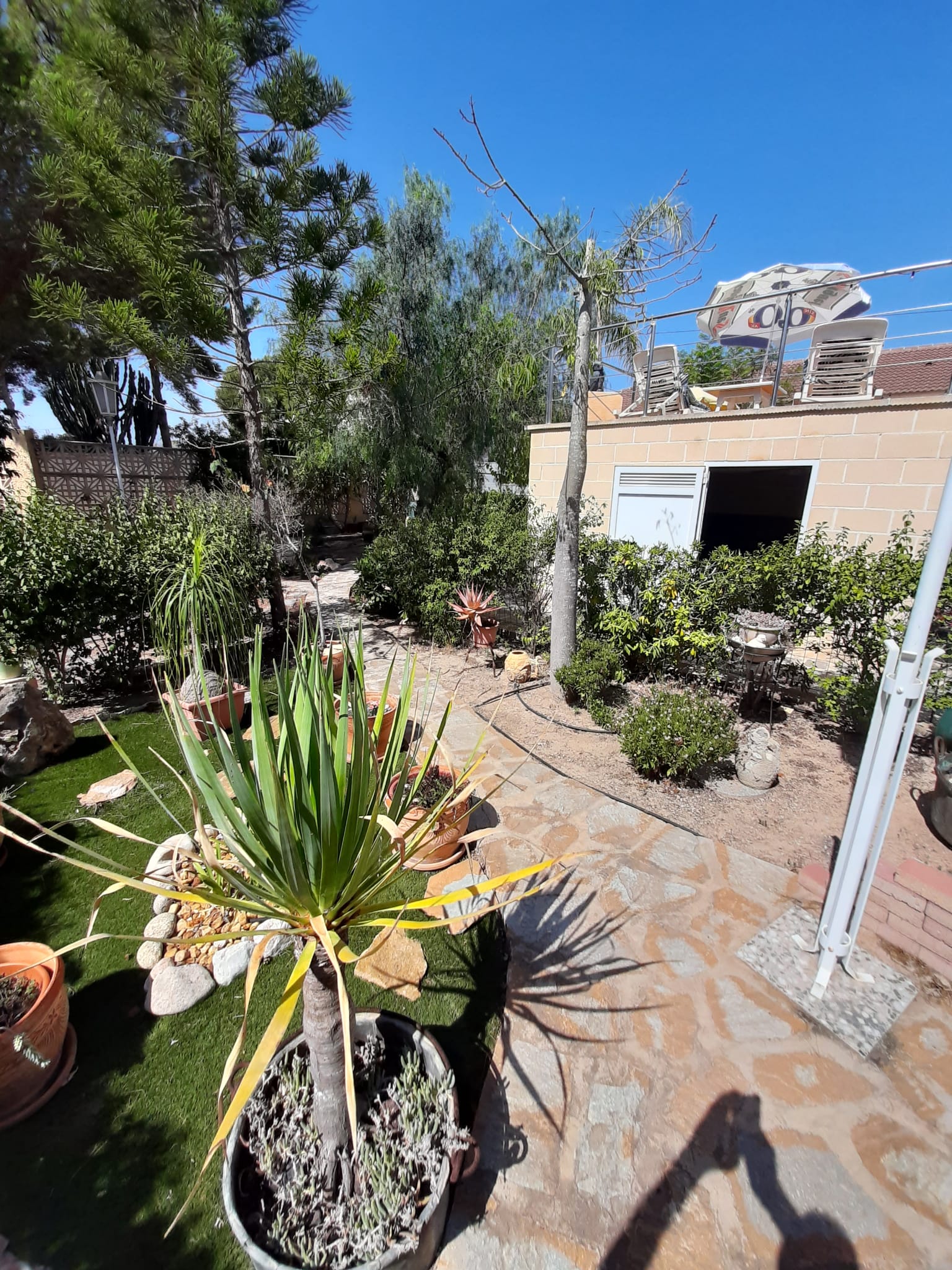 Pool area in villa for sale in Orihuela Costa