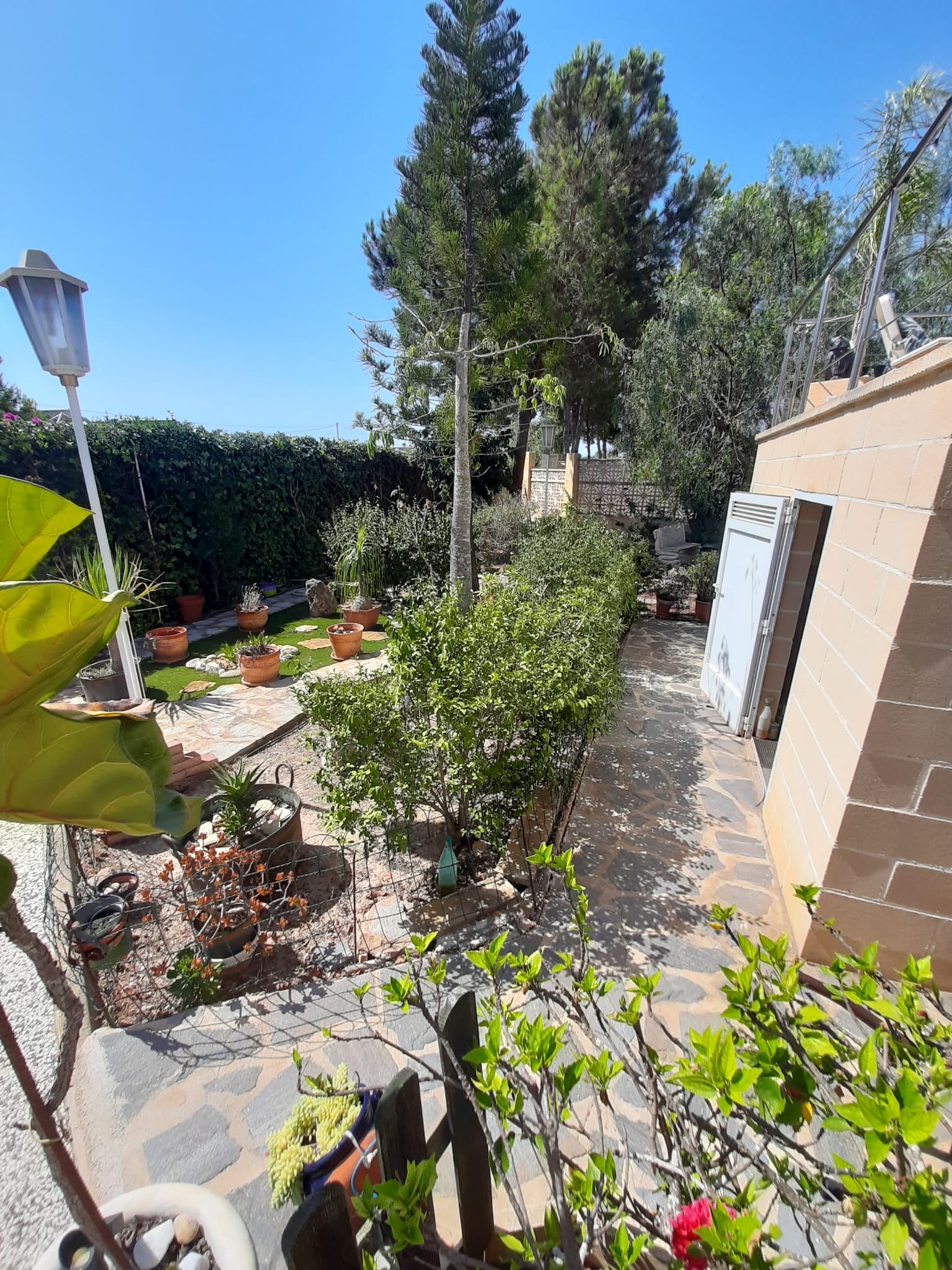 Garden in villa for sale in Orihuela Costa