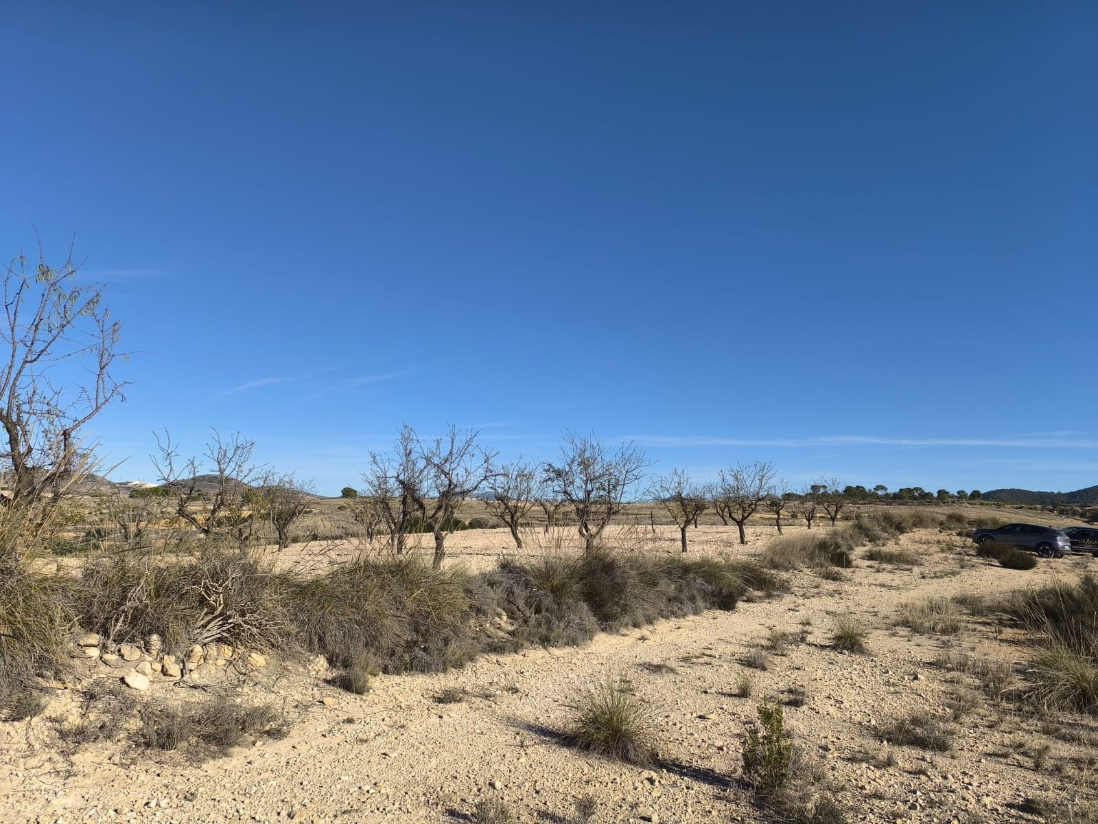 Exterior view in land for sale in Jumilla